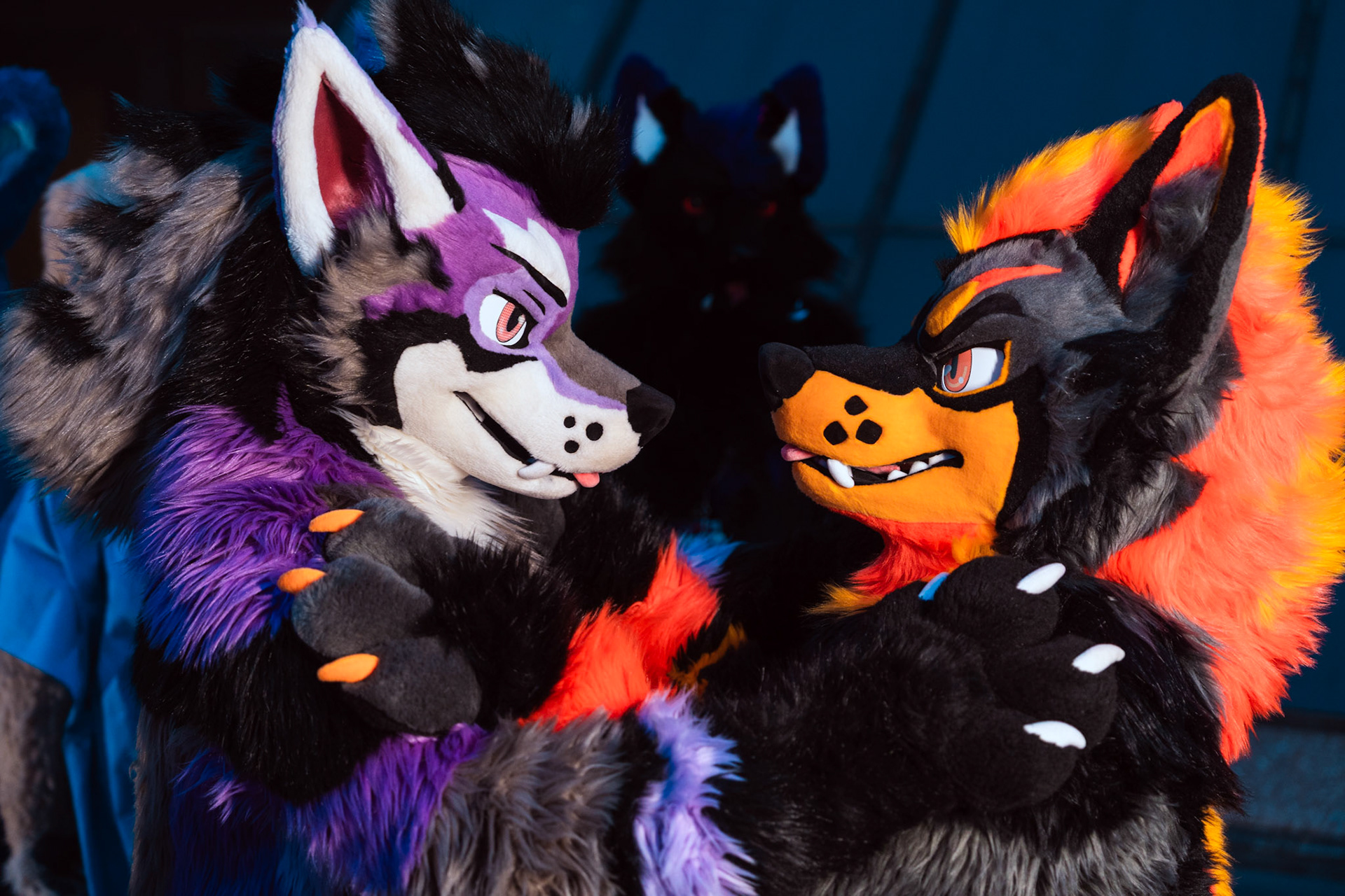 Furnal Equinox 2025