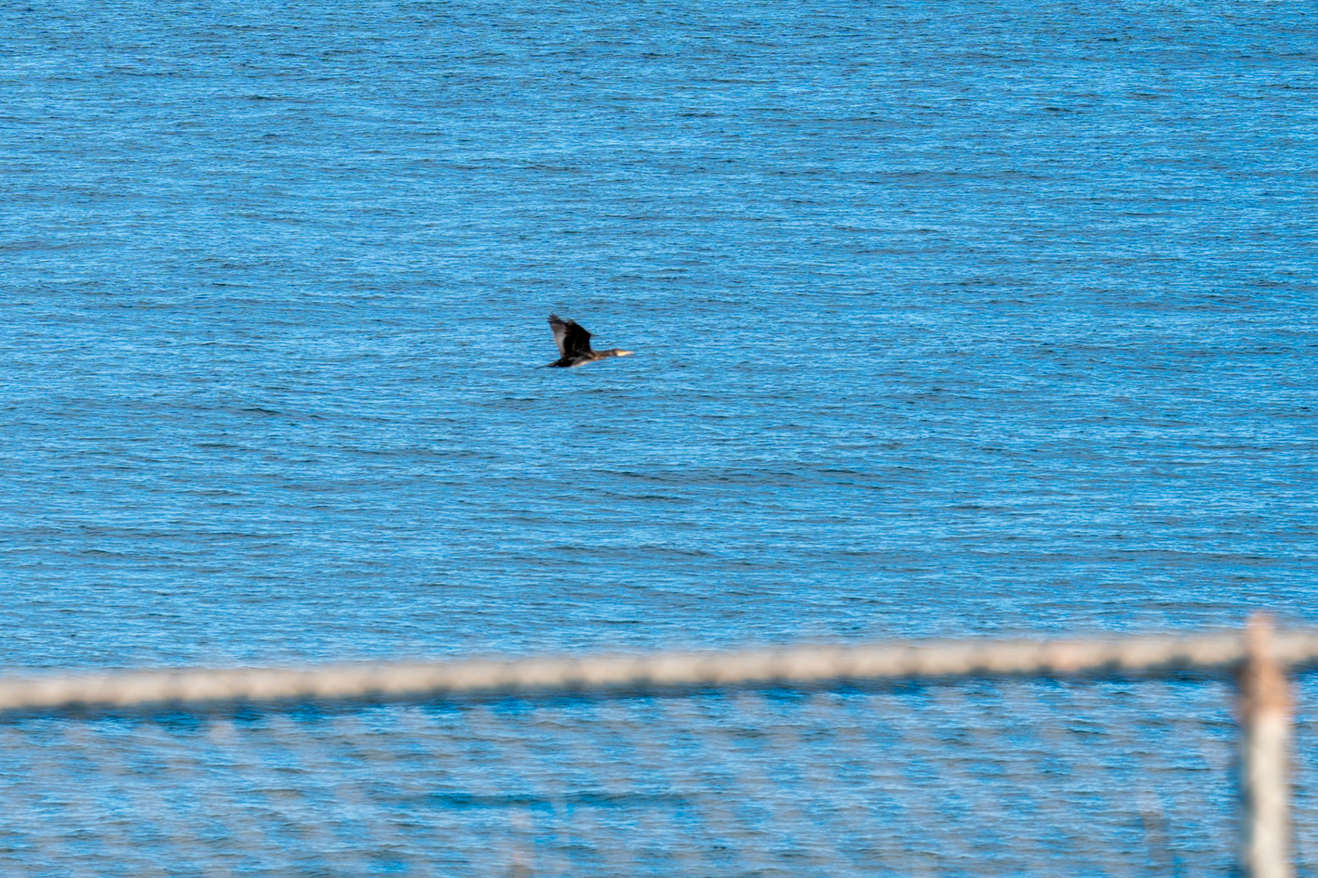 PEI Labour Day Trip