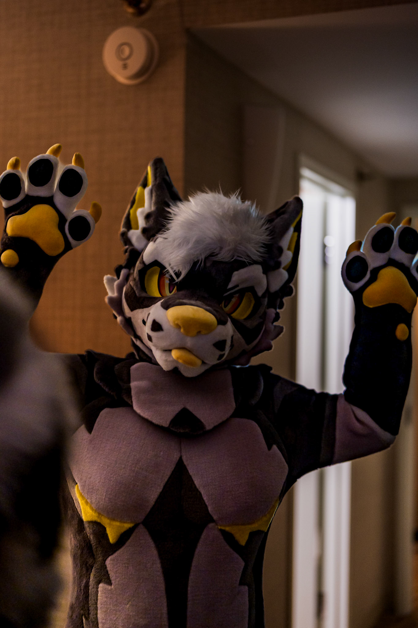 Anthrocon 2026