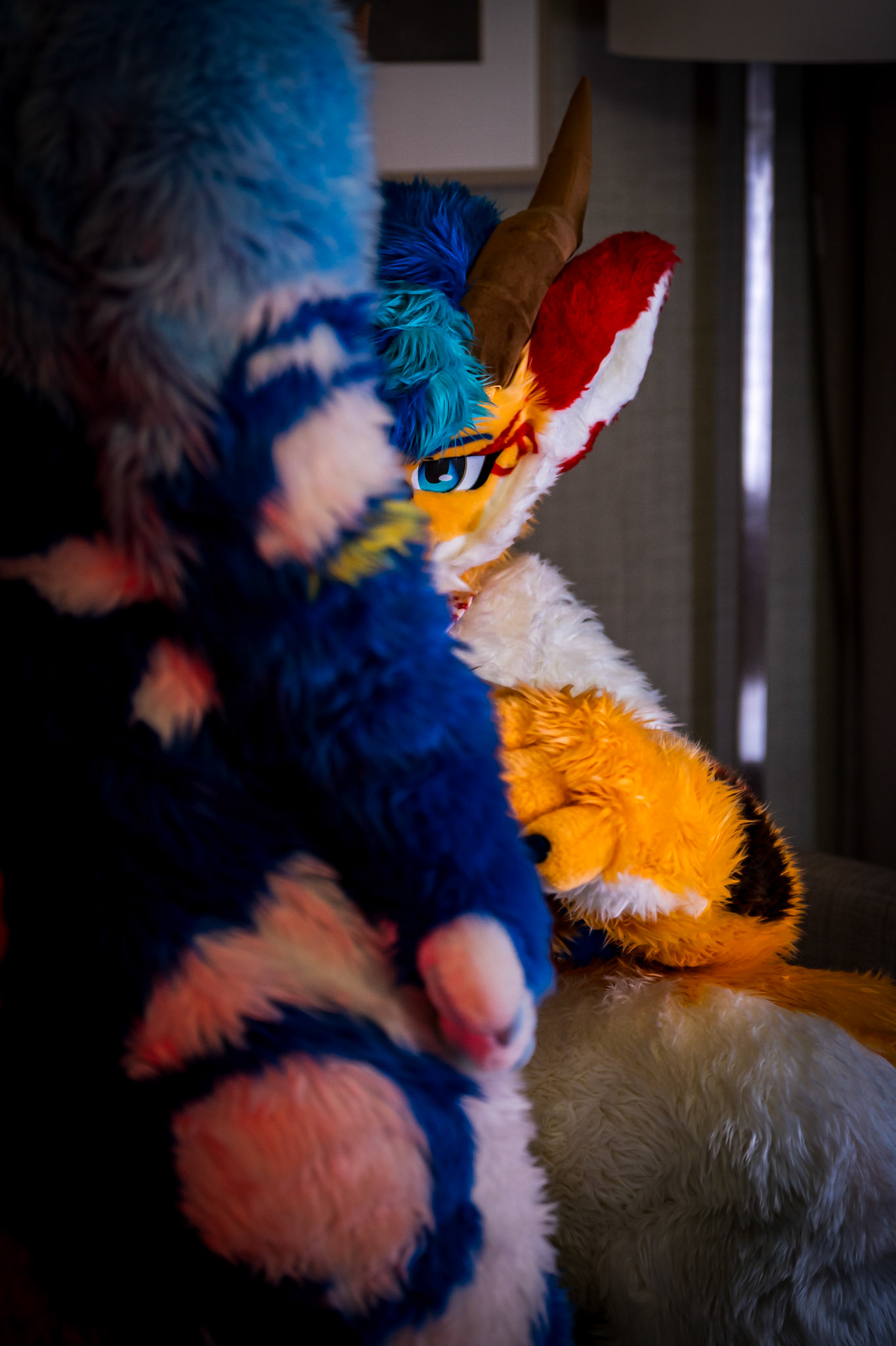 Anthrocon 2026
