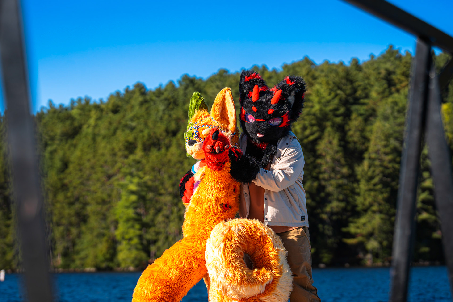 Algonquin Fall Colour