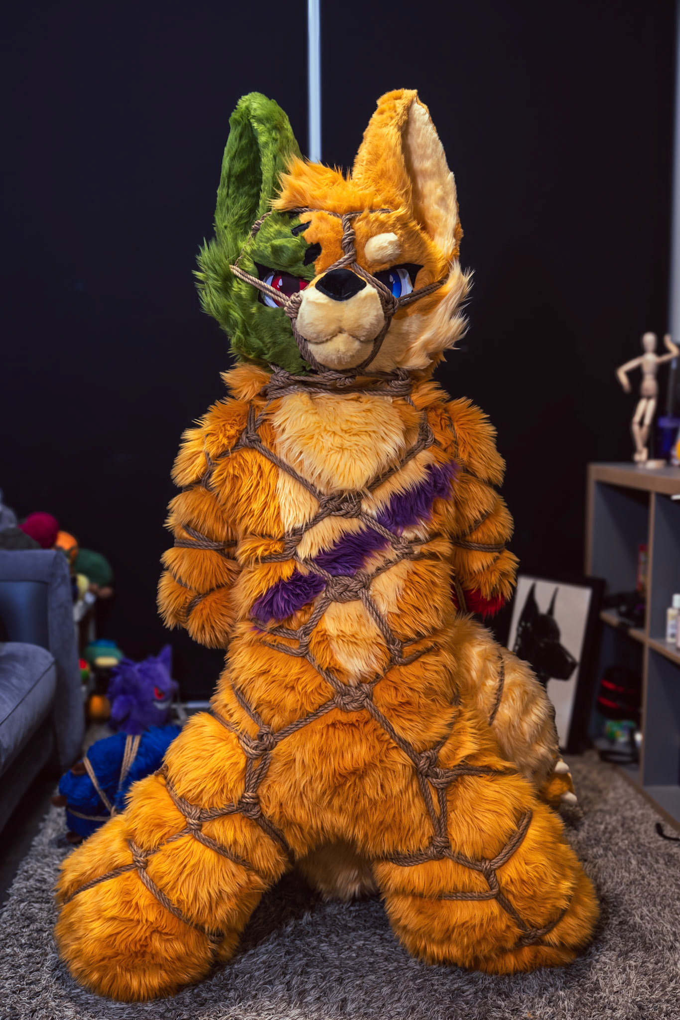 Shibari Inu