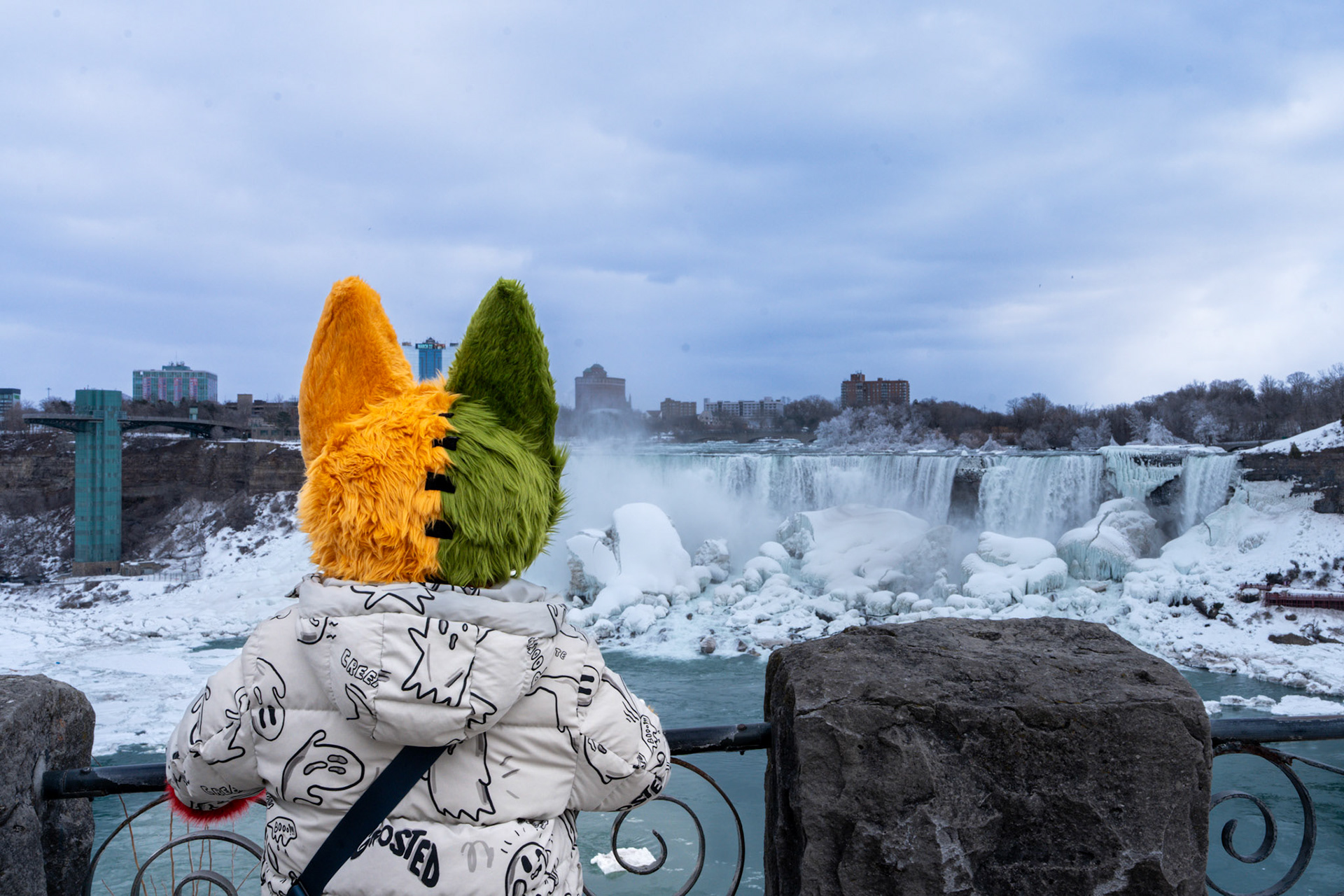 Niagara Winters