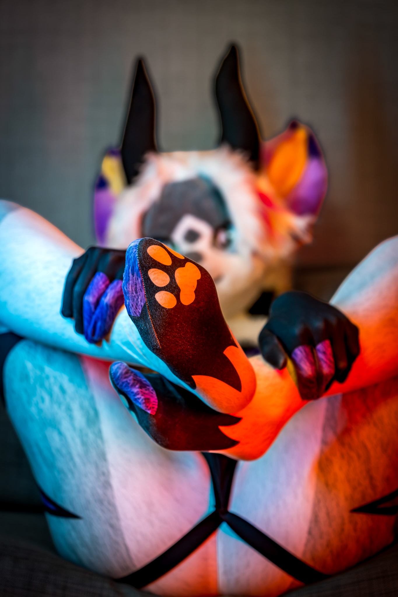 Anthrocon 2026
