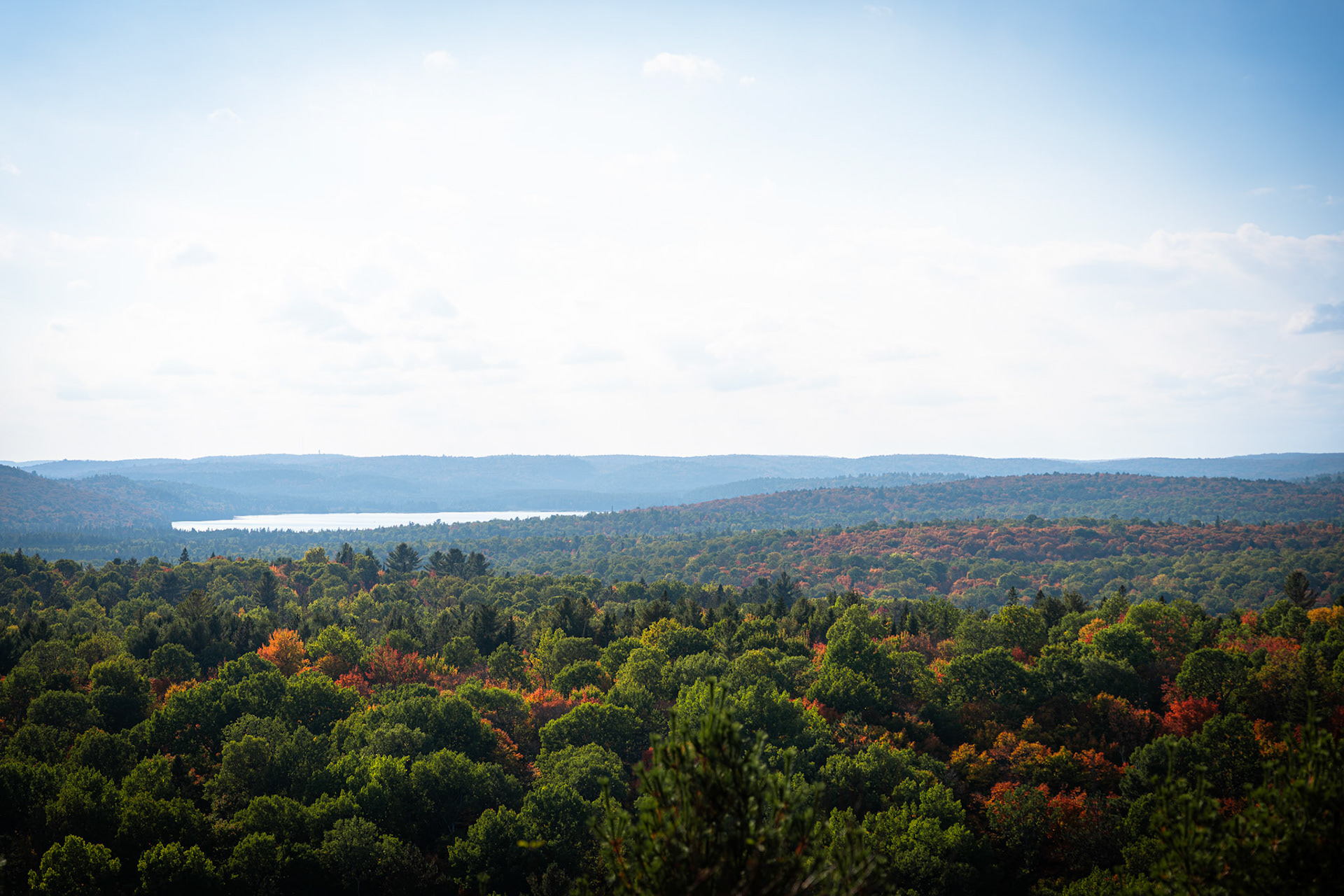 Algonquin Fall Colour