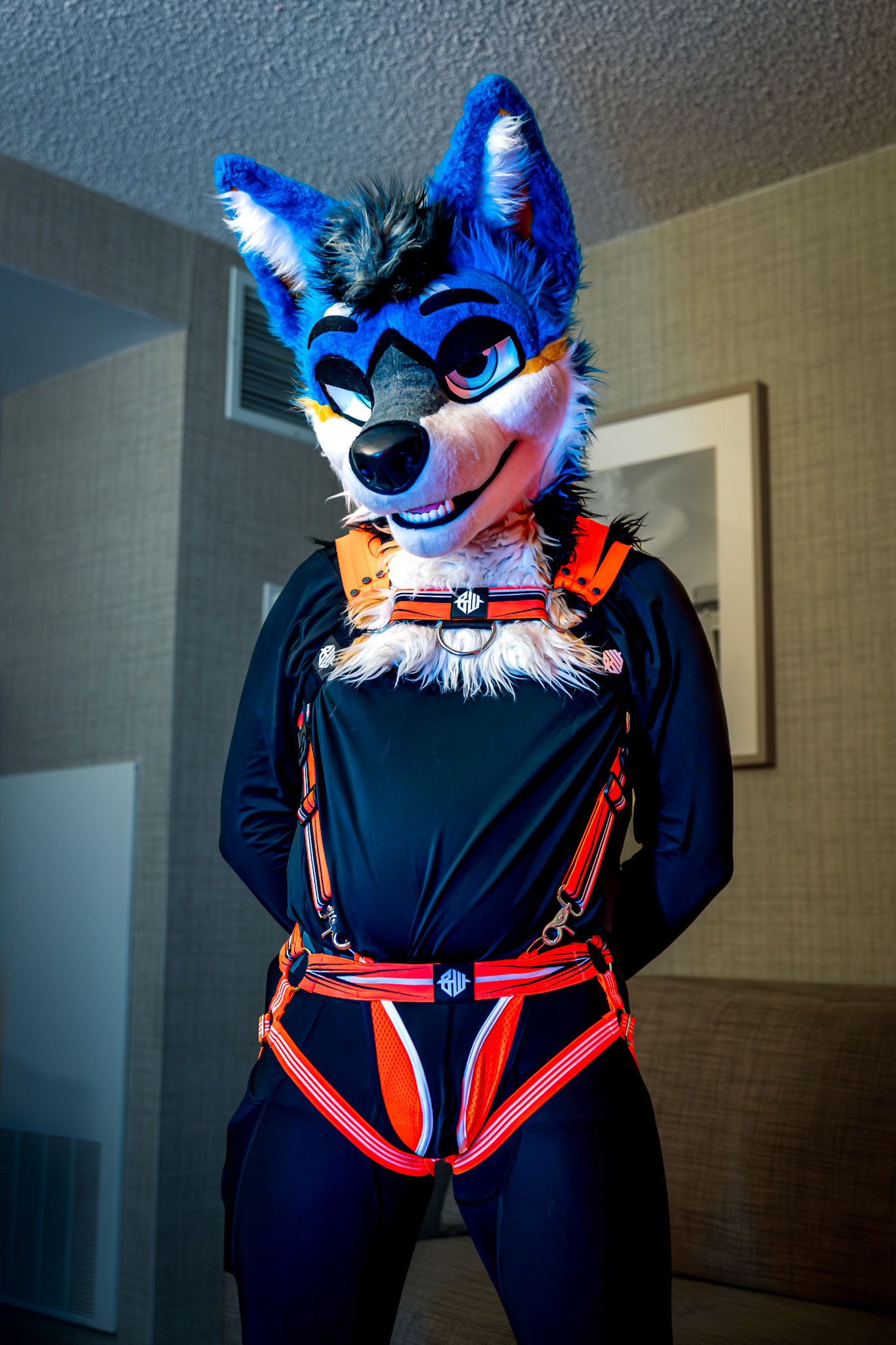 Anthrocon 2026