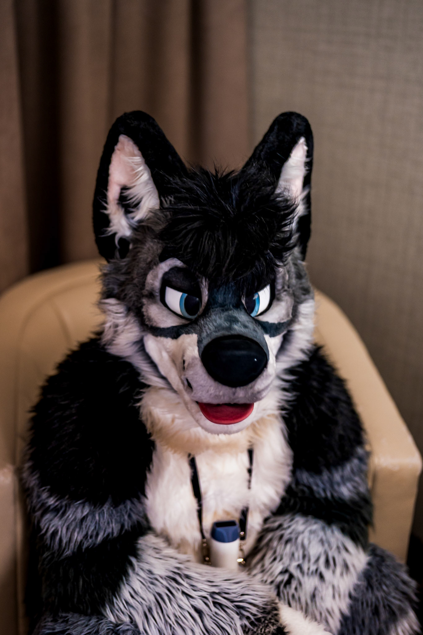 Anthrocon 2026