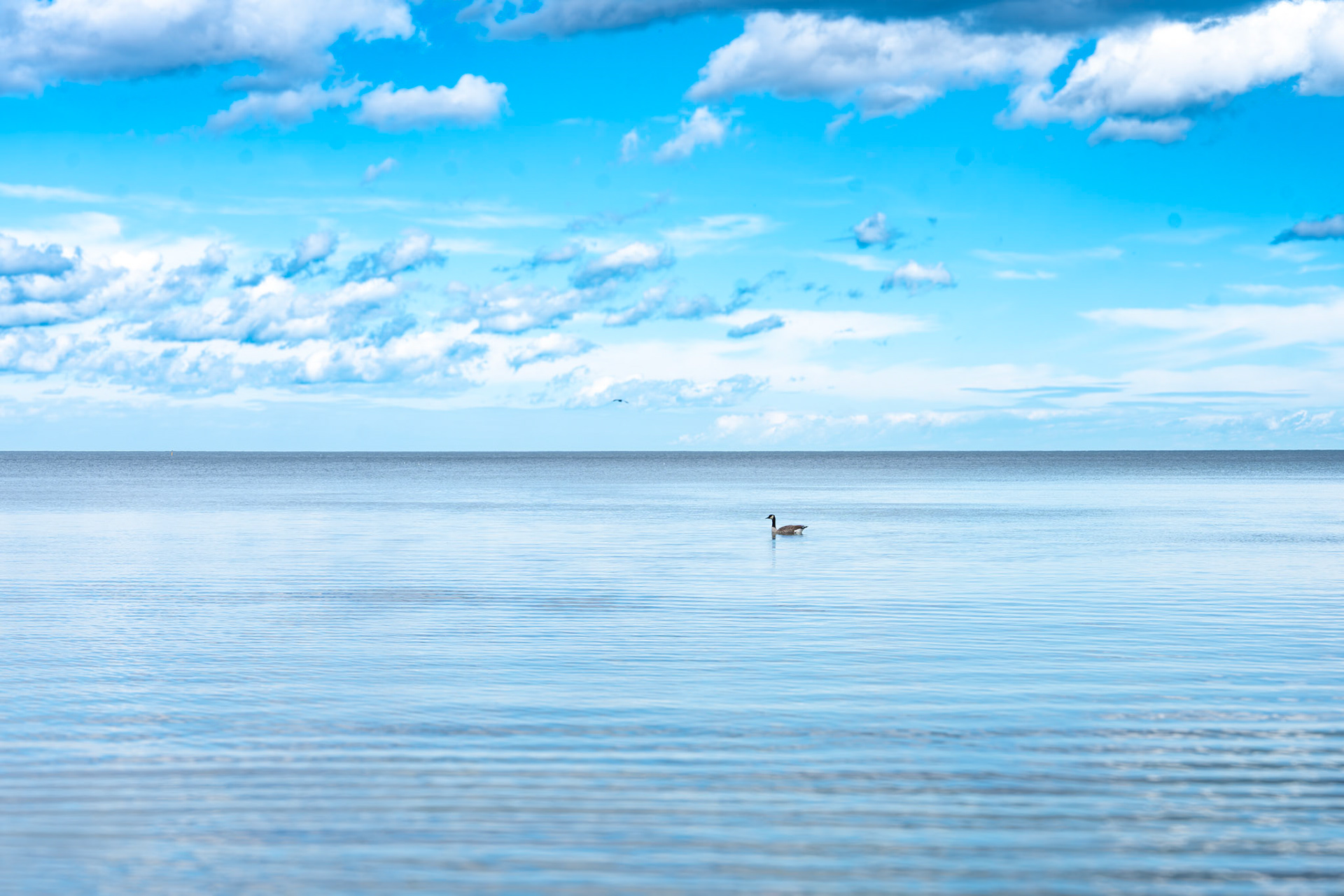 Tommy Thompson Park