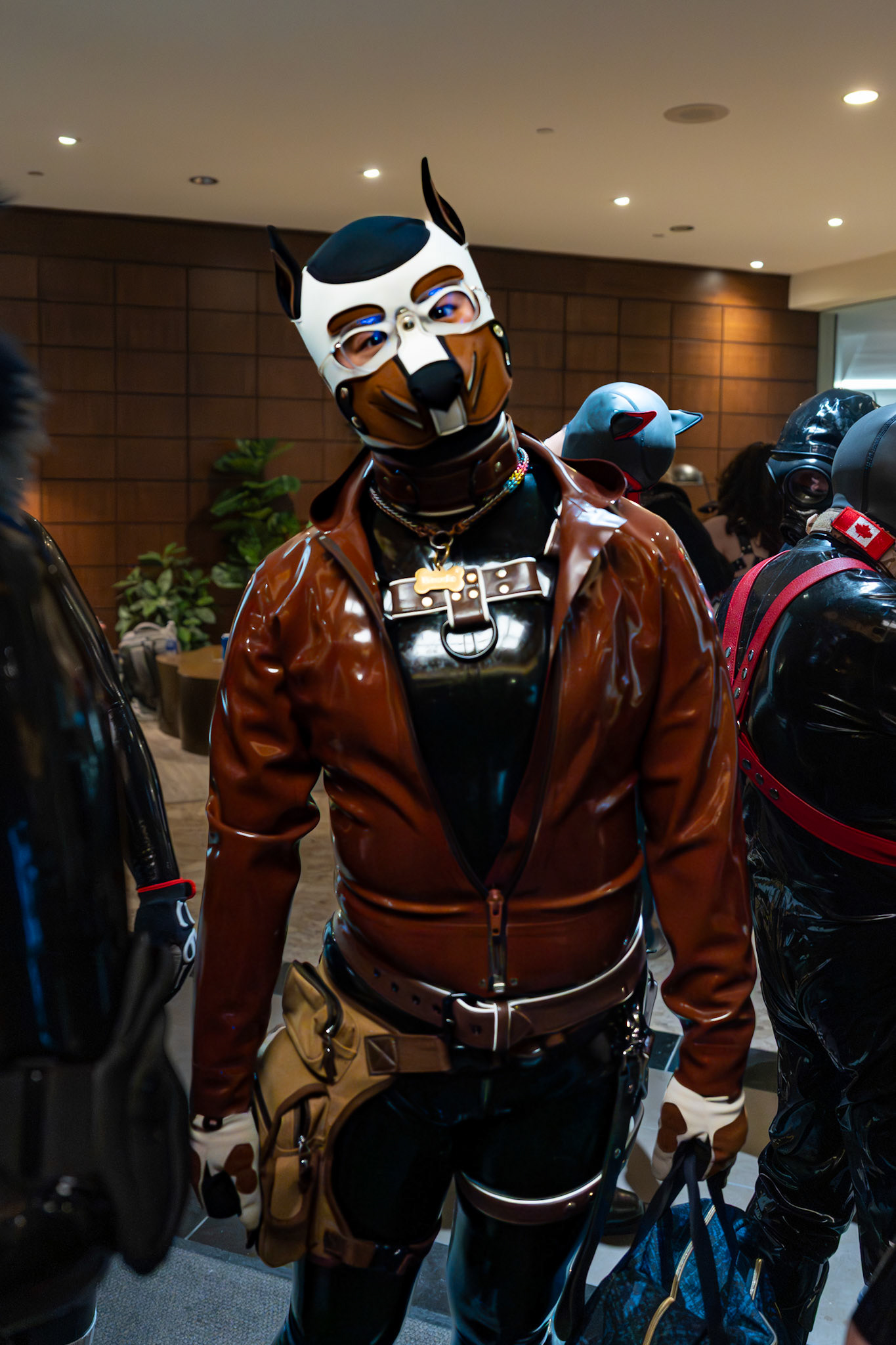Furnal Equinox