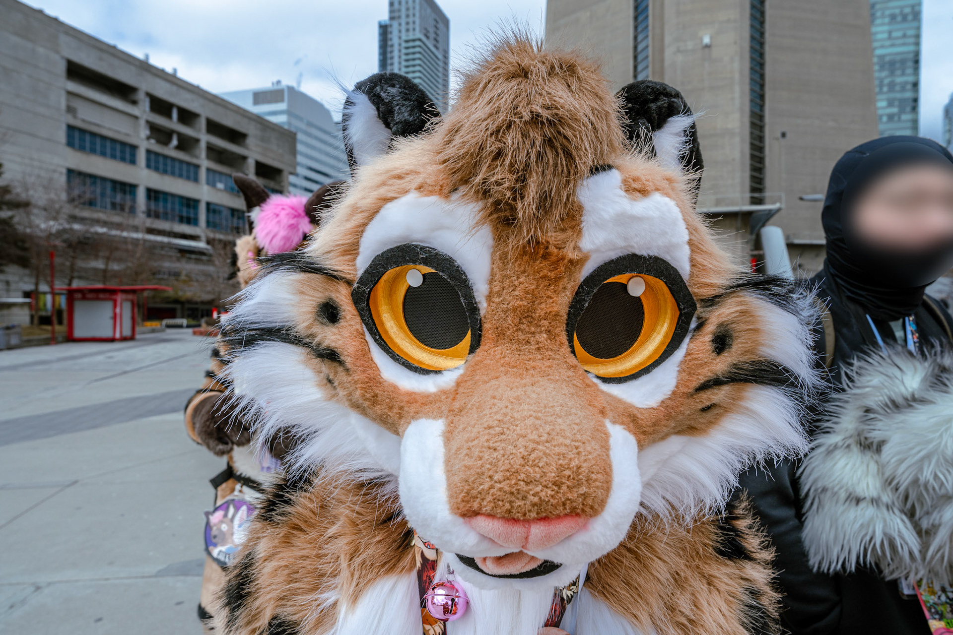 Furnal Equinox 2025
