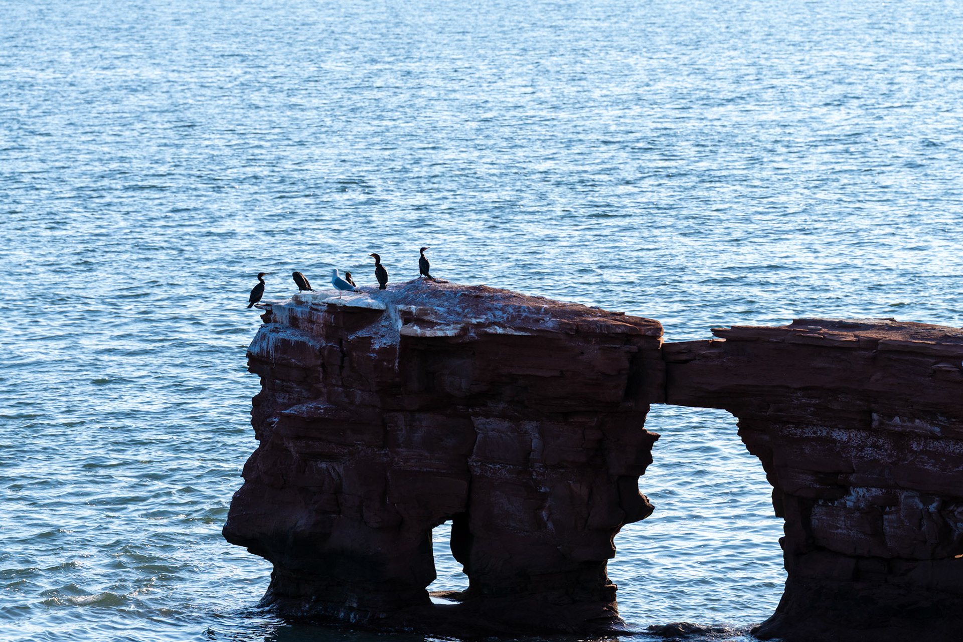 PEI Labour Day Trip