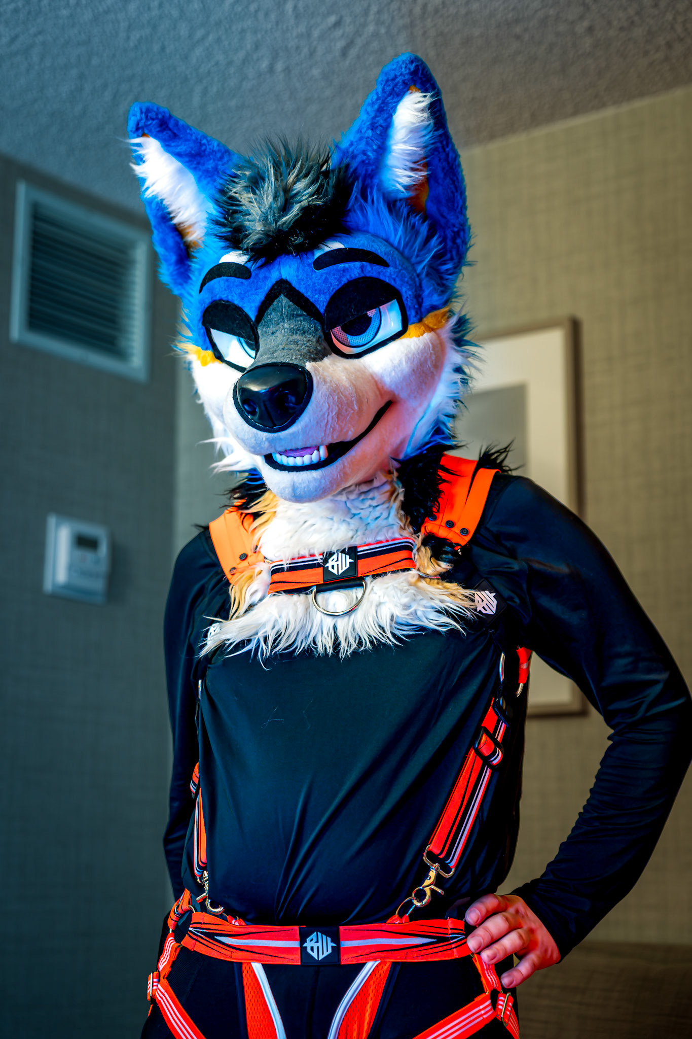 Anthrocon 2026