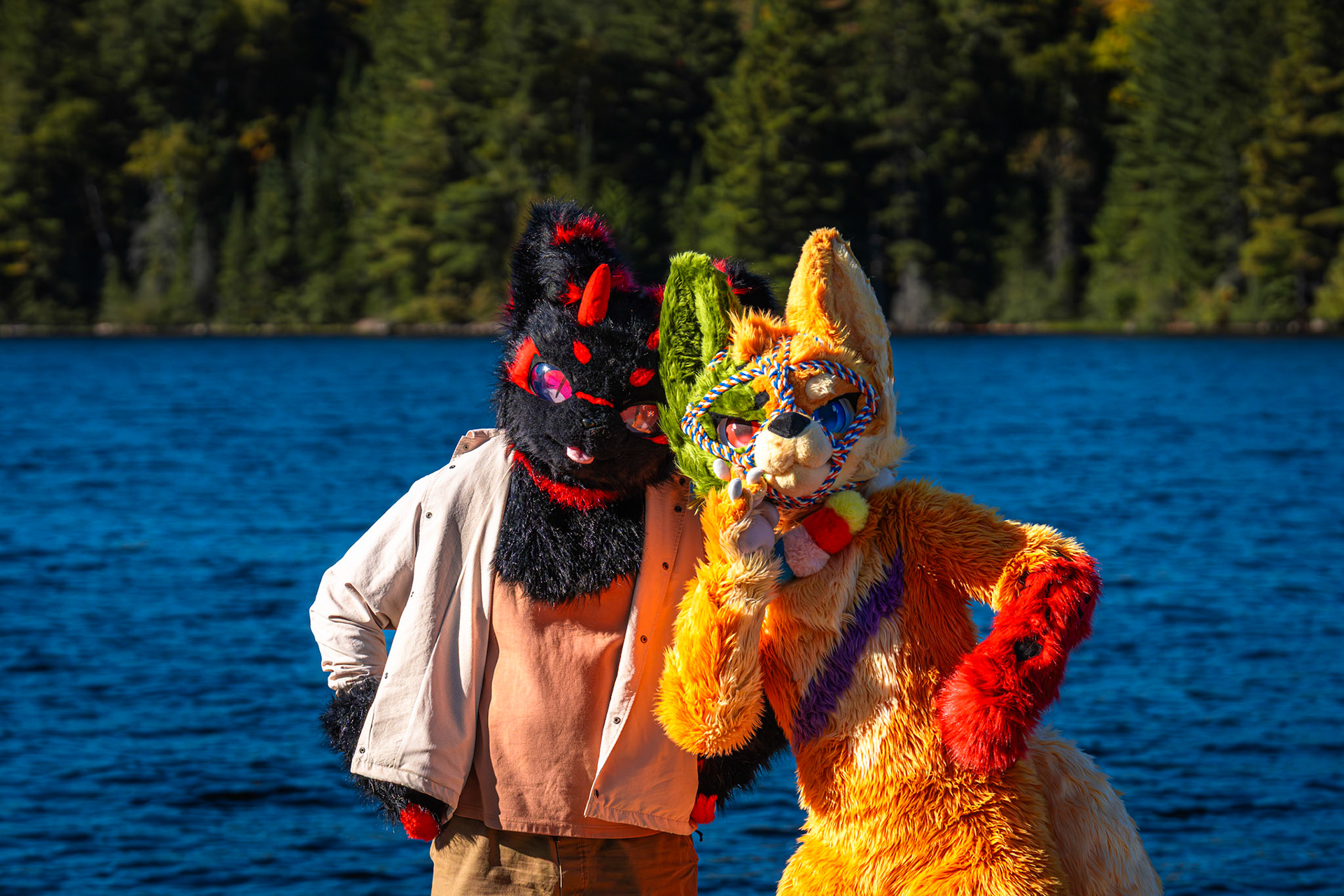 Algonquin Fall Colour