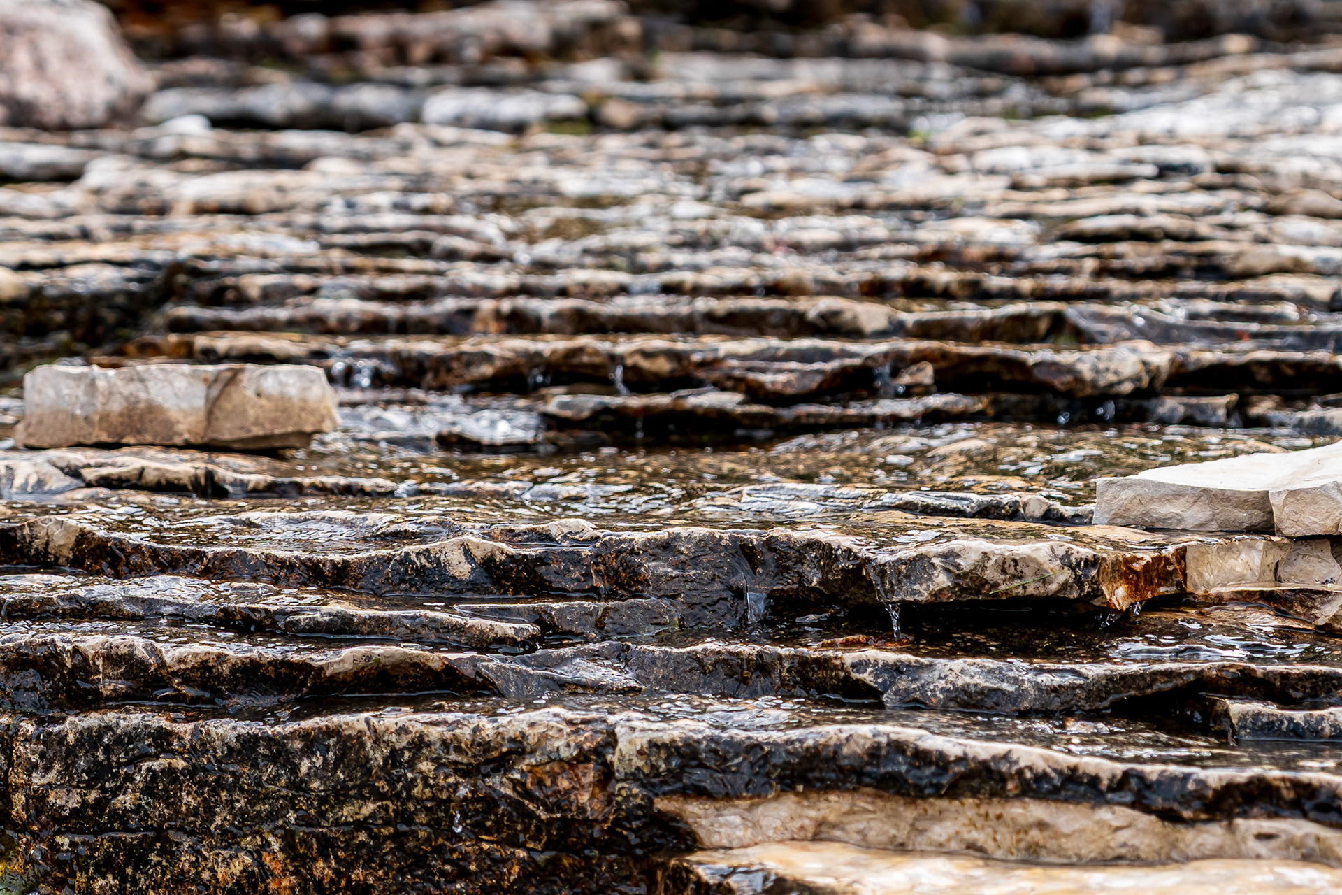 Bruce Peninsula