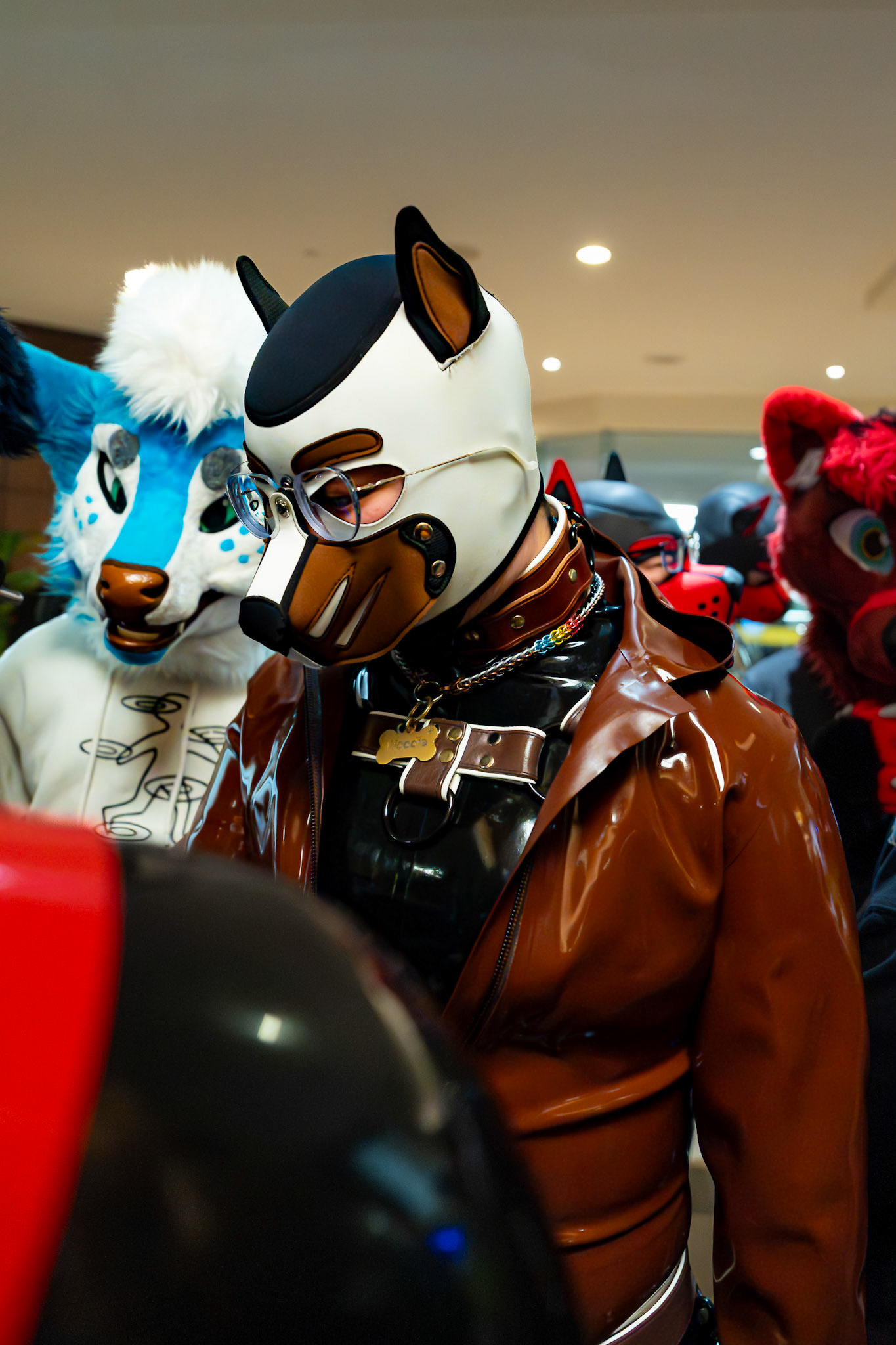 Furnal Equinox