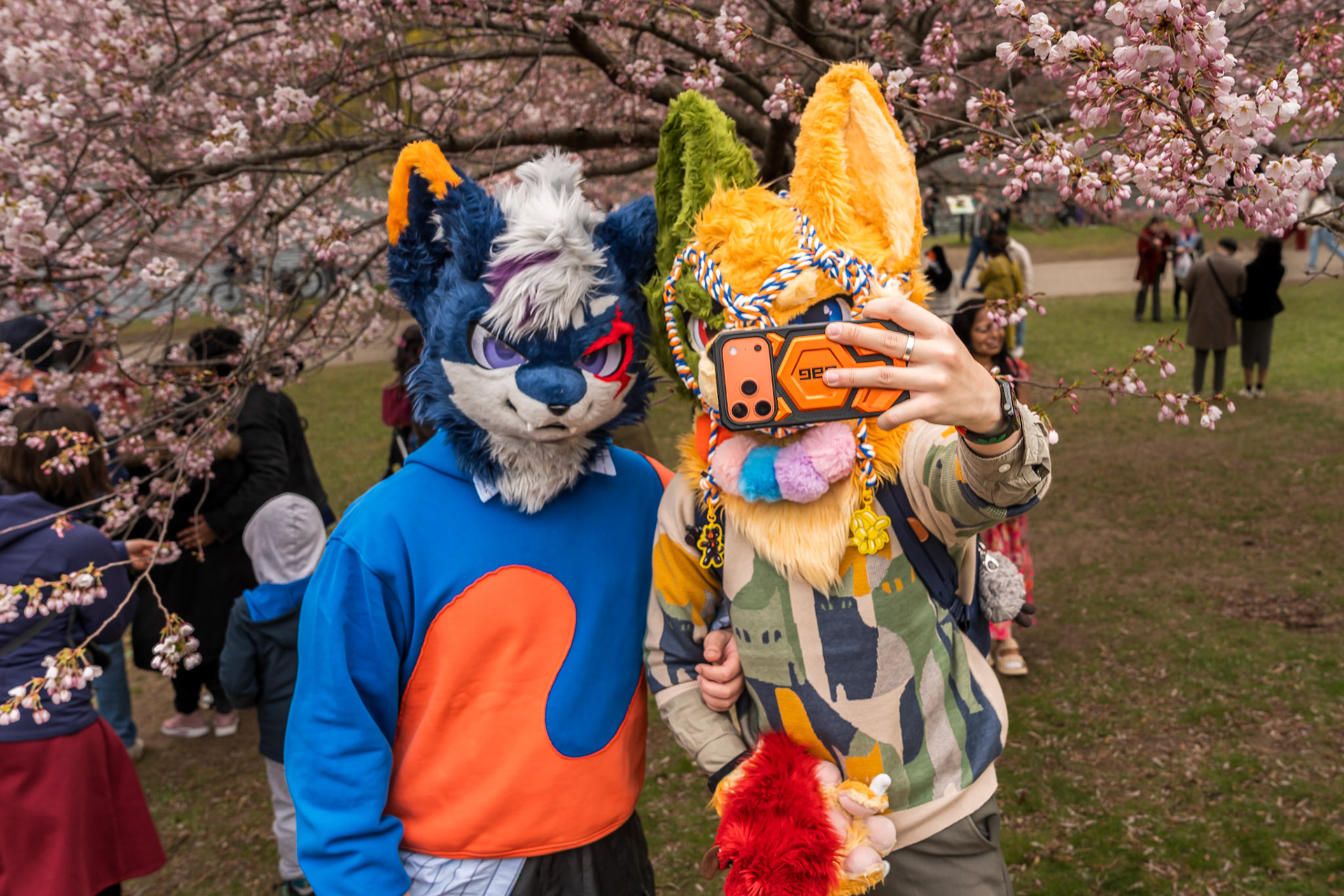 High Park 4.0