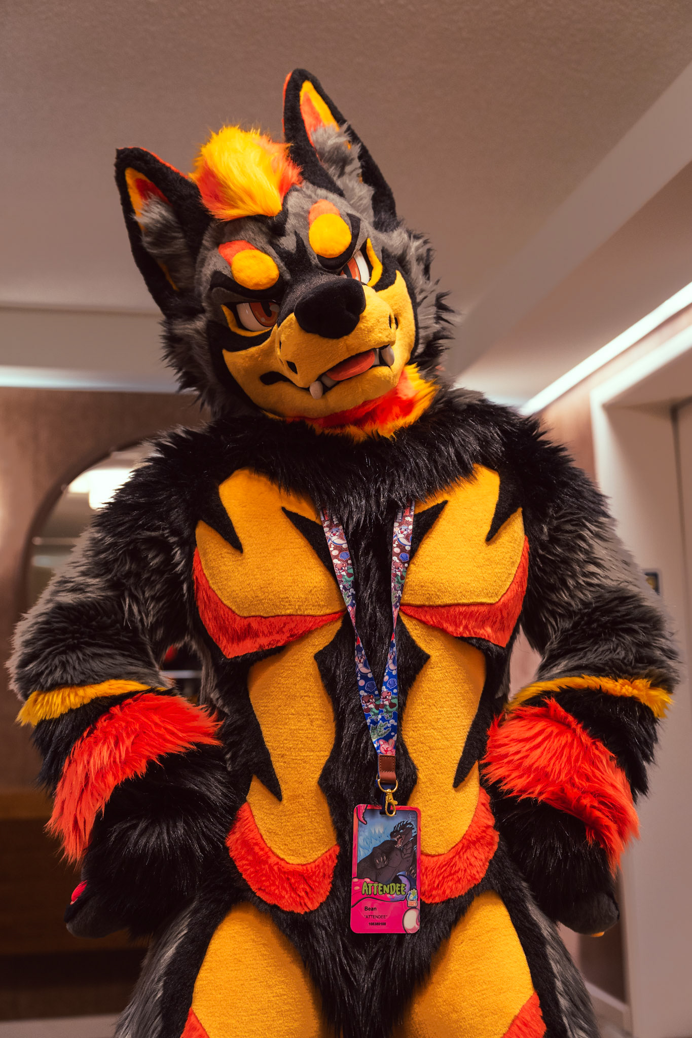 Furnal Equinox 2025