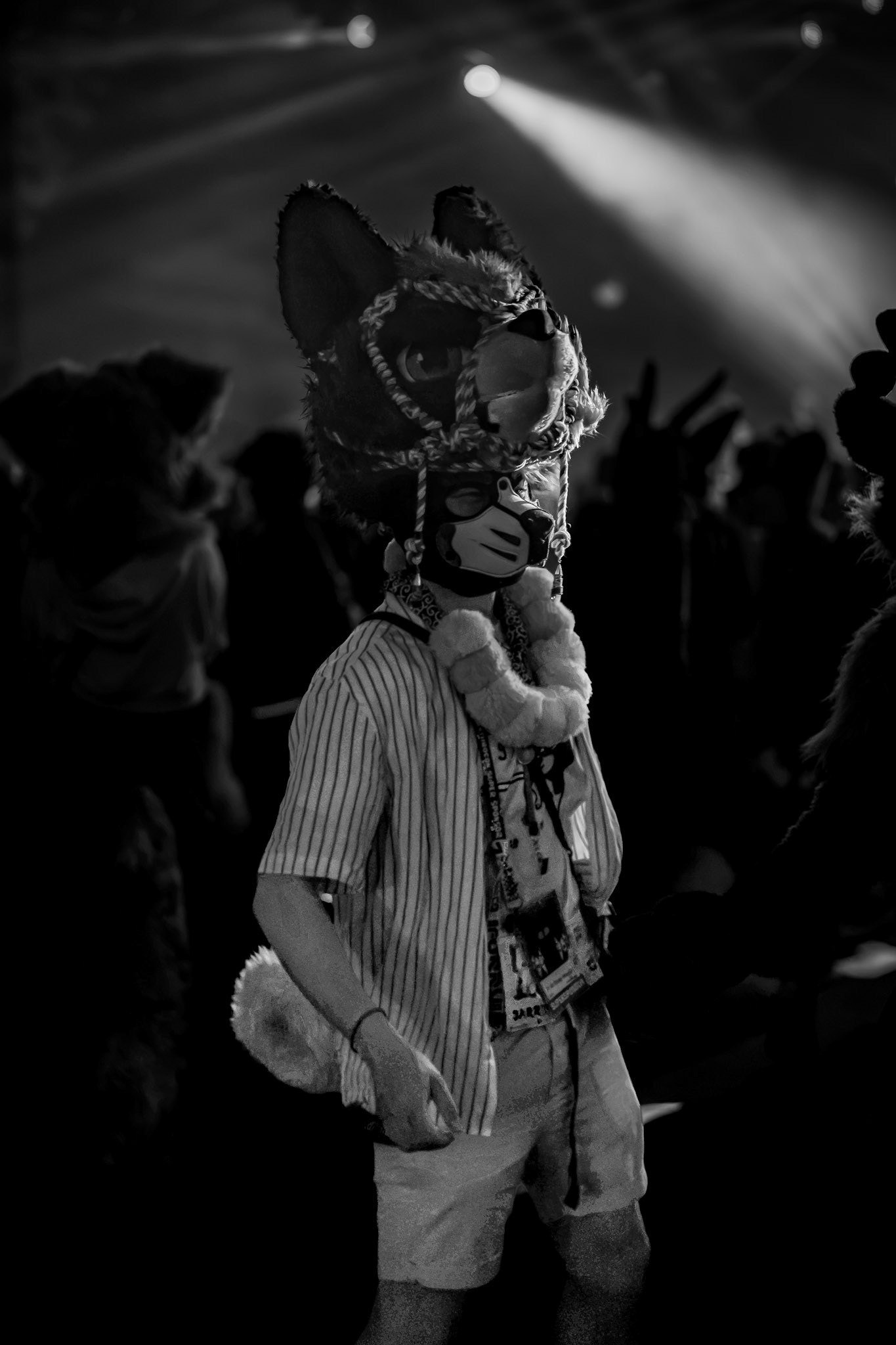 Anthrocon 2026
