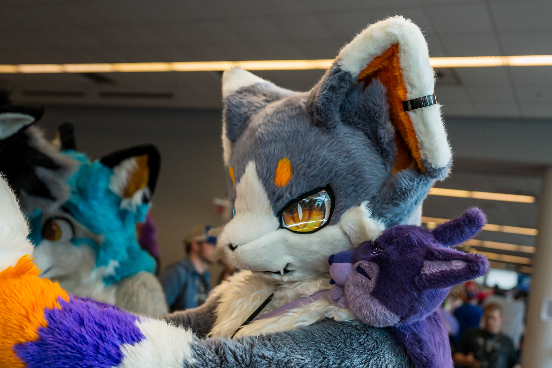Anthrocon 2026