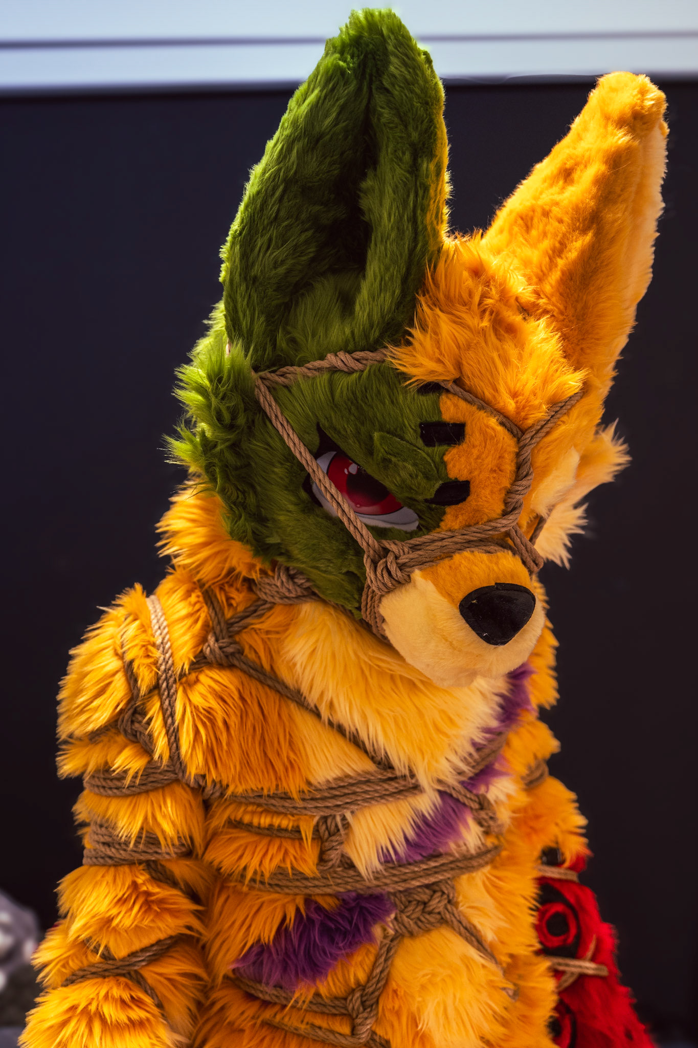 Shibari Inu