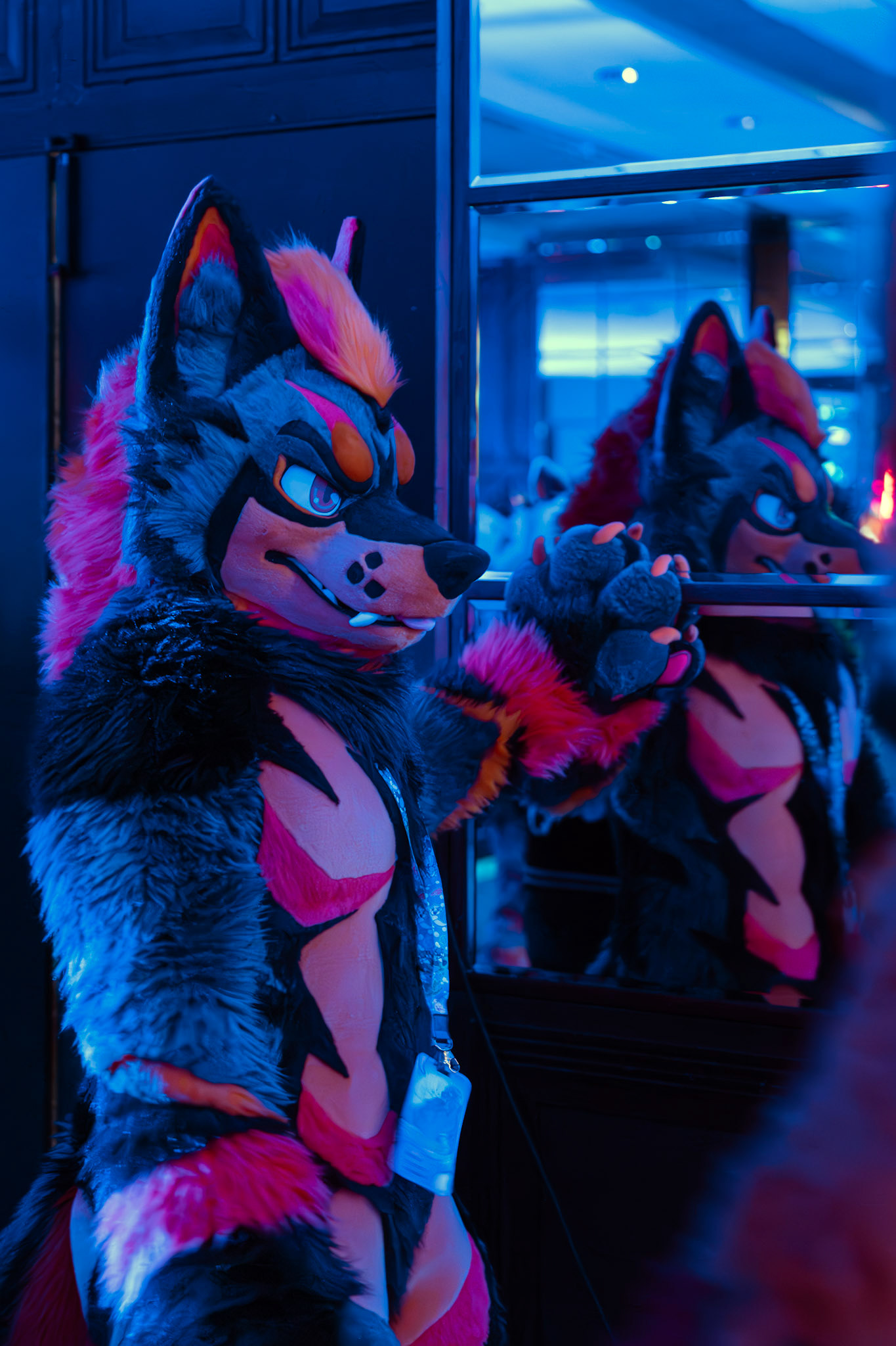 Furnal Equinox 2025