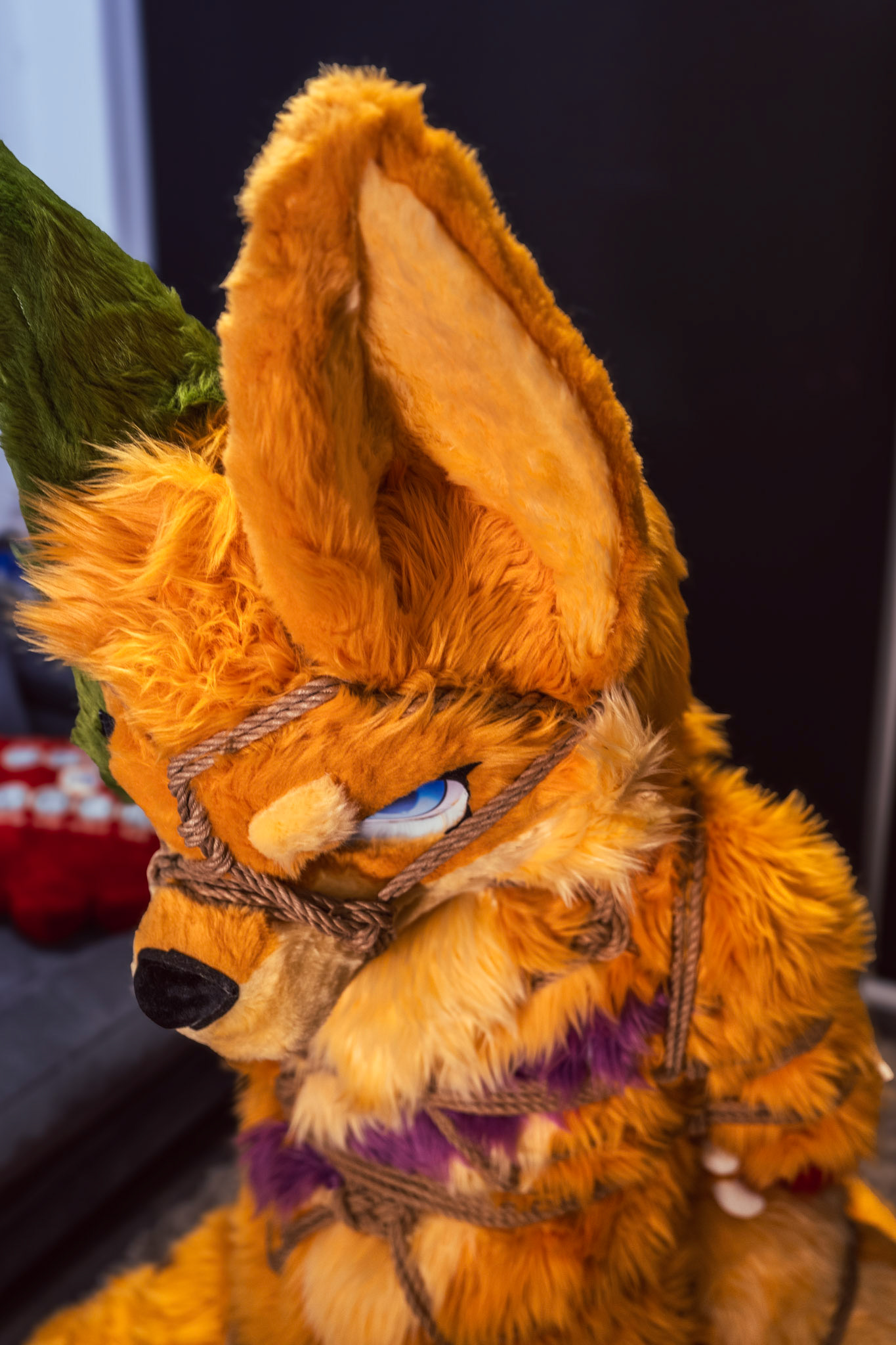 Shibari Inu