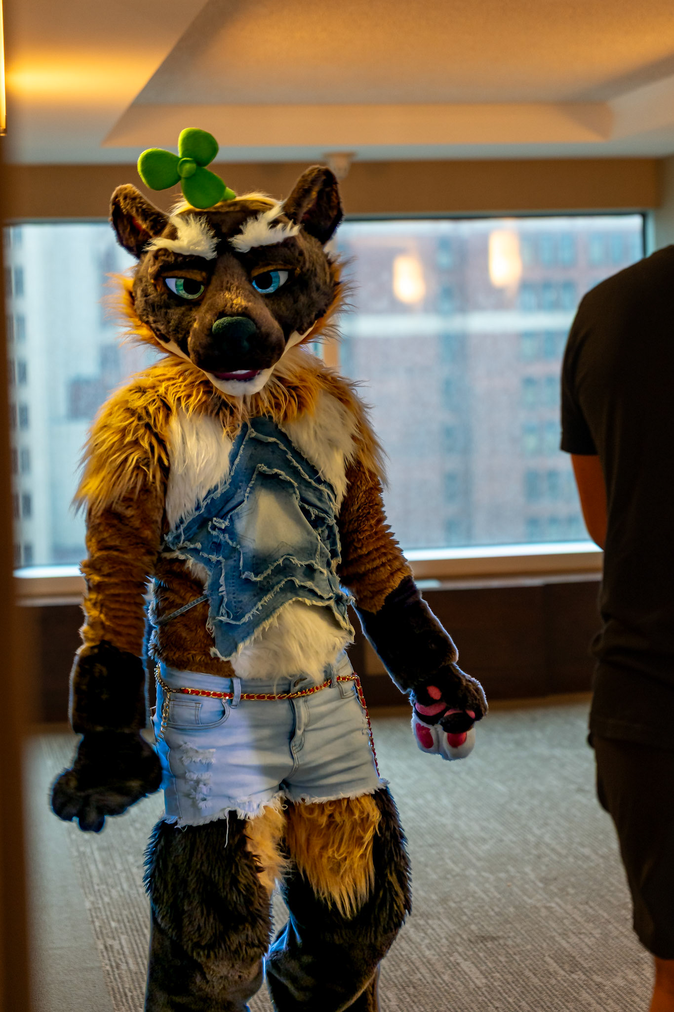 Anthrocon 2026