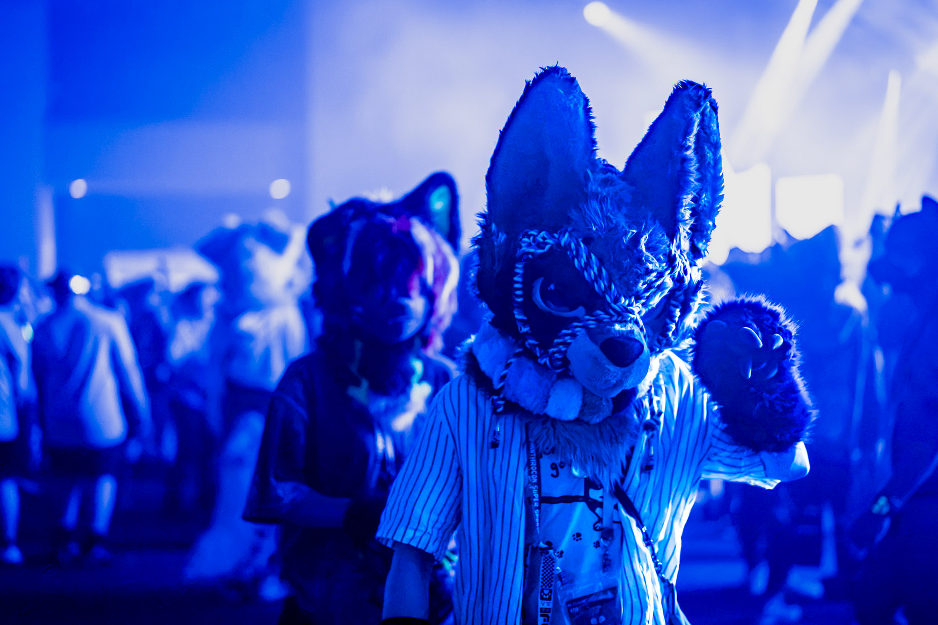 Anthrocon 2026