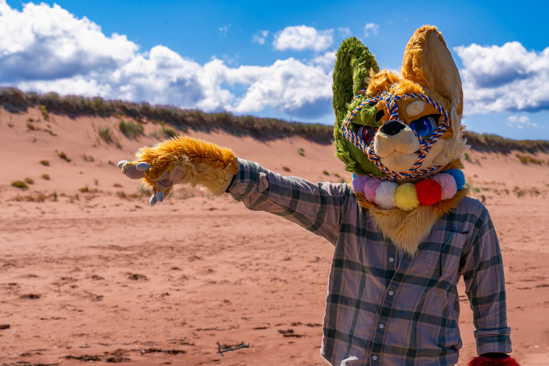 PEI Labour Day Trip