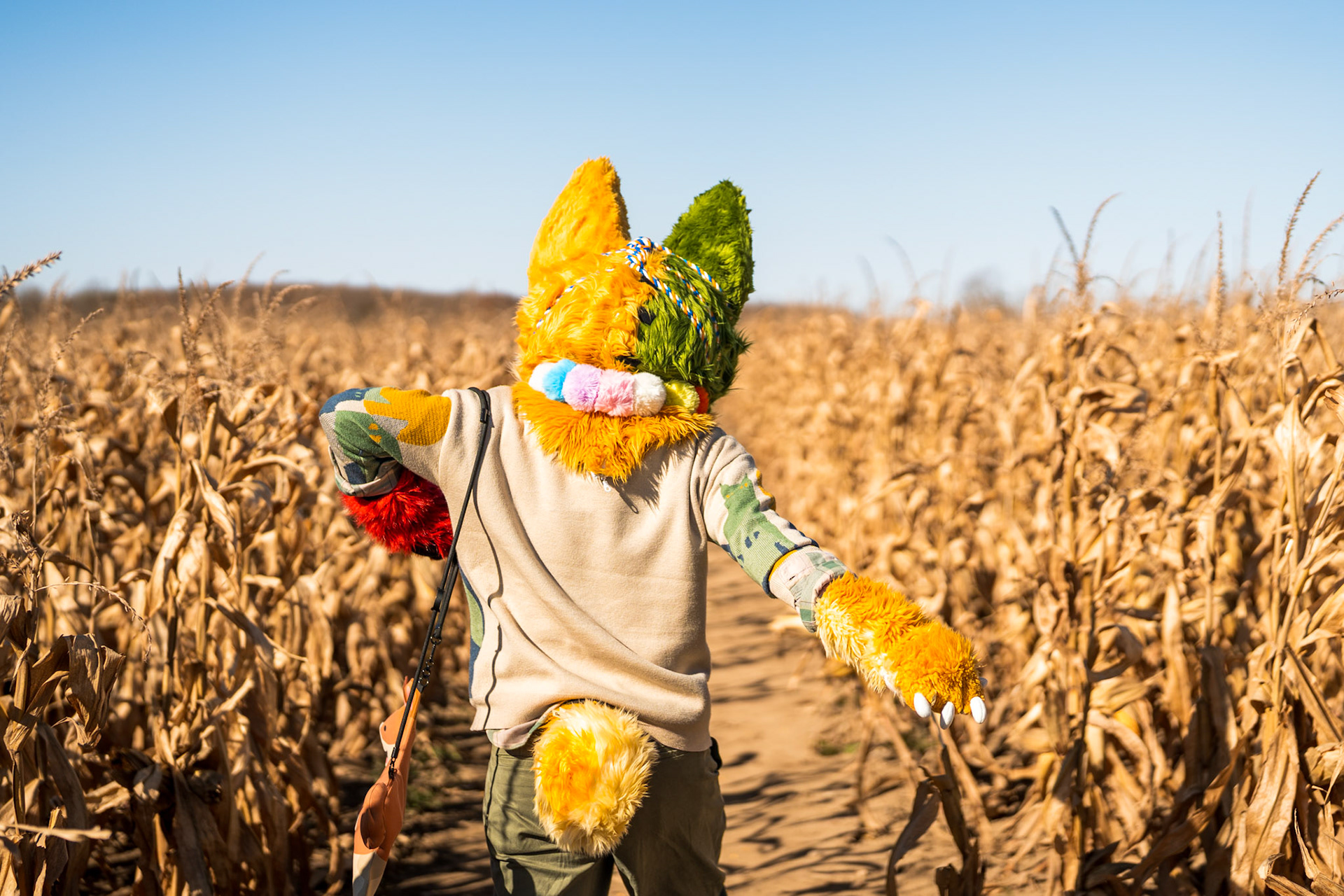 Corn Maze