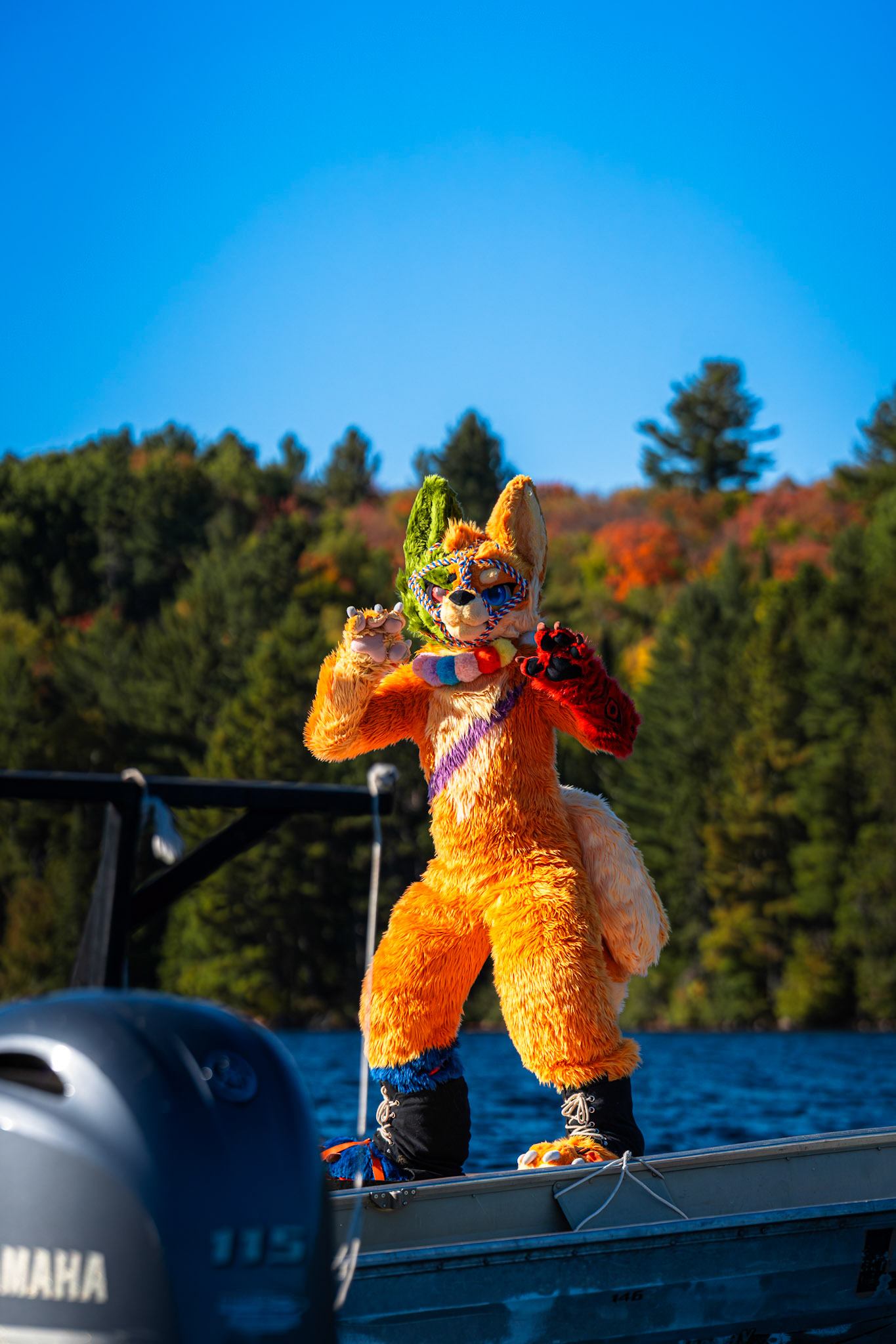 Algonquin Fall Colour