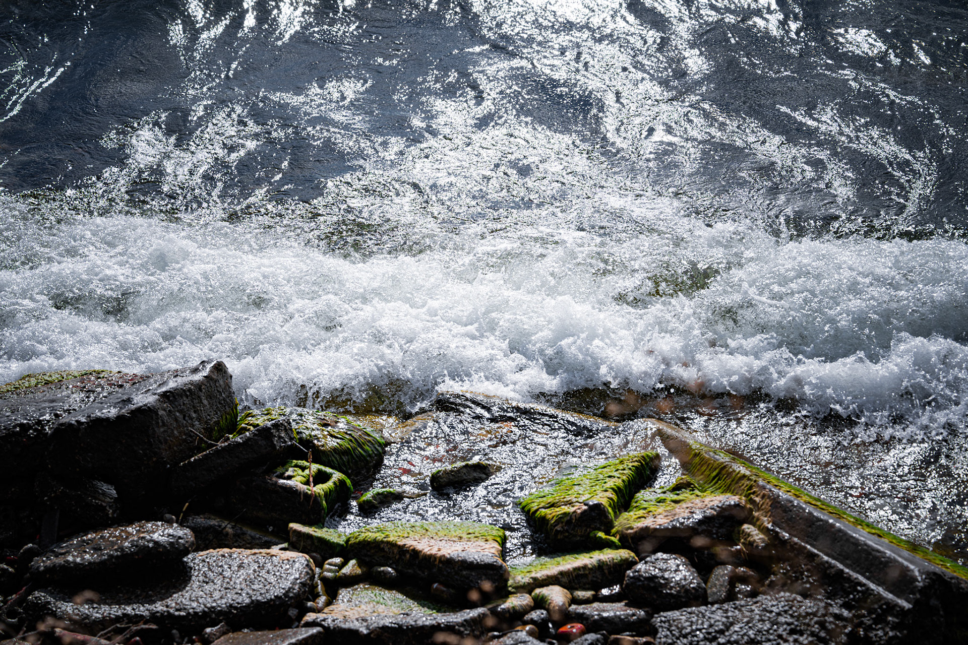 Tommy Thompson Park