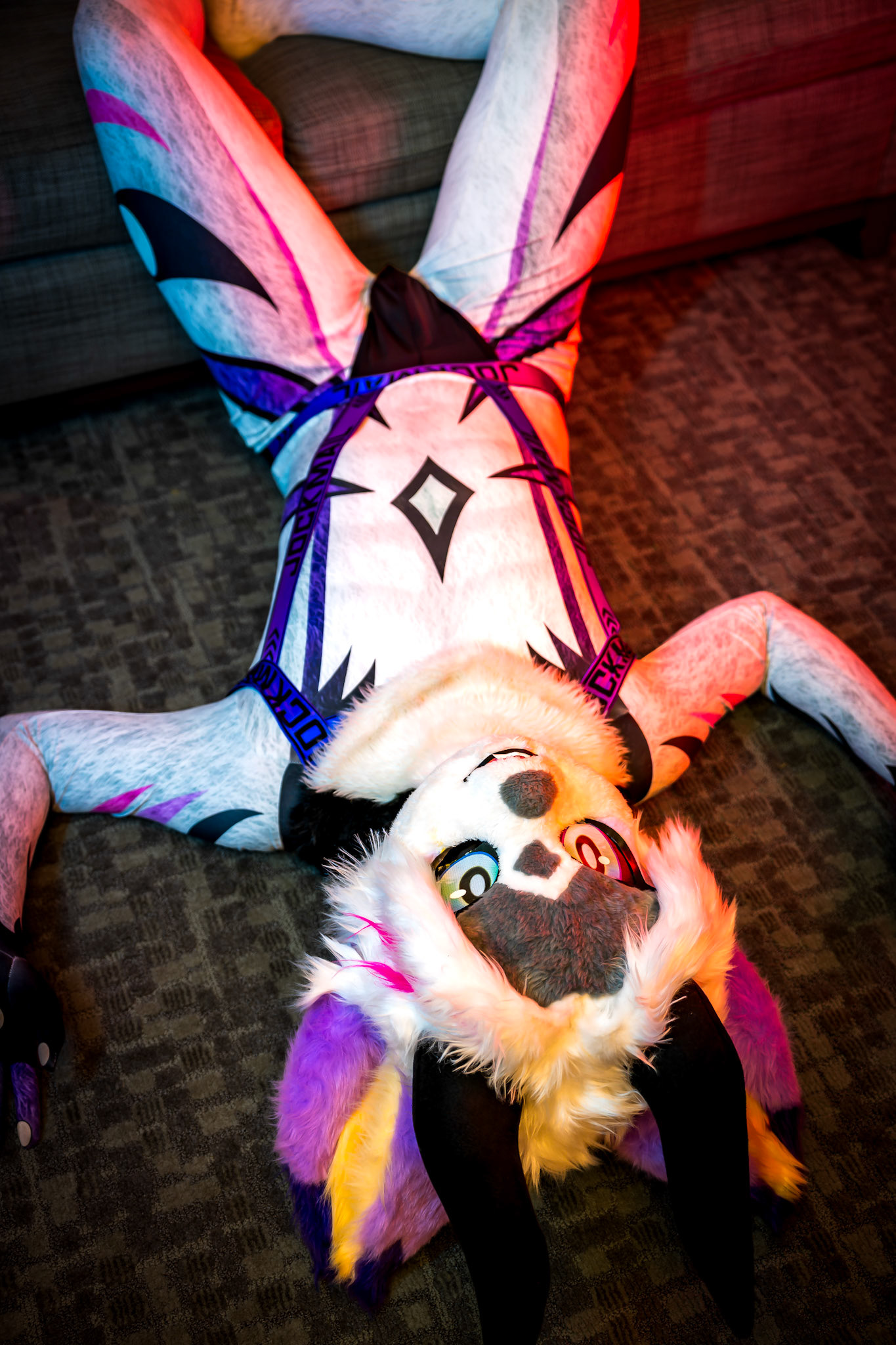 Anthrocon 2026