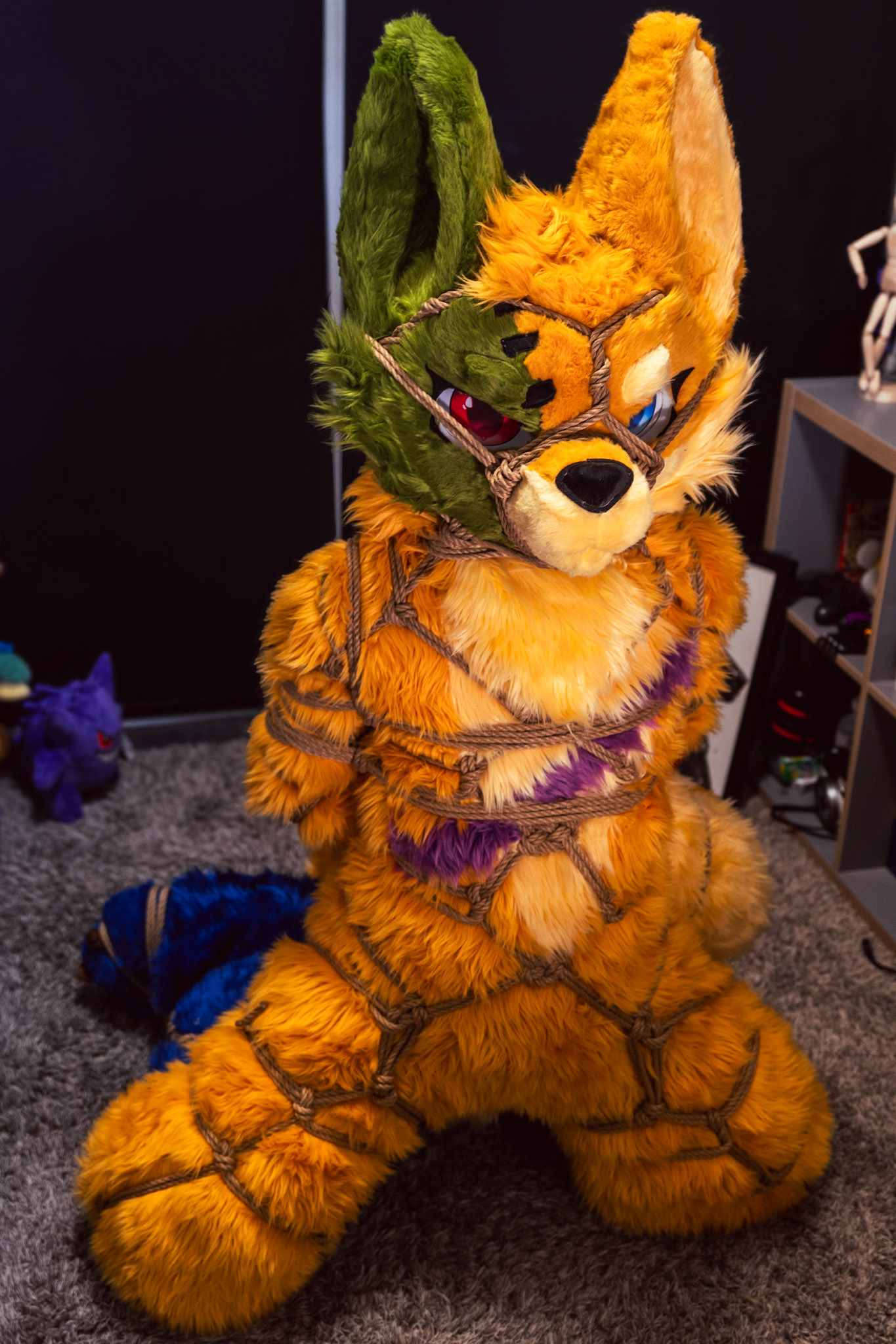 Shibari Inu