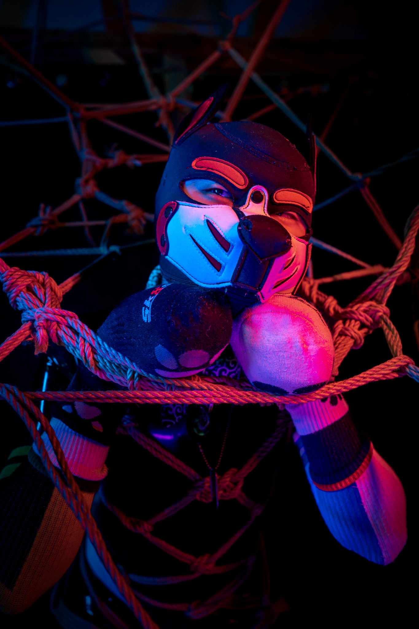 The Rope Throne
