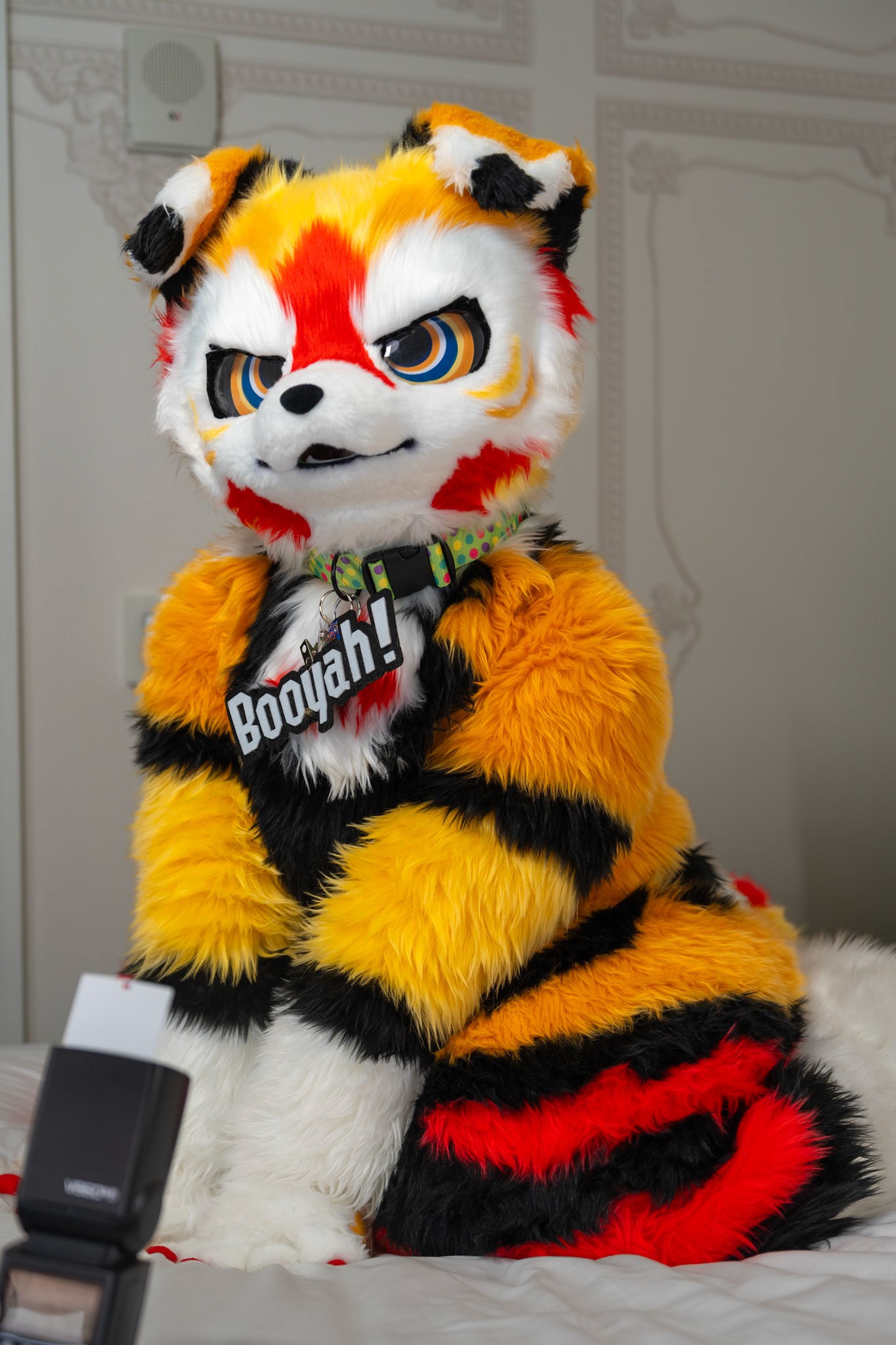 Anthrocon 2025
