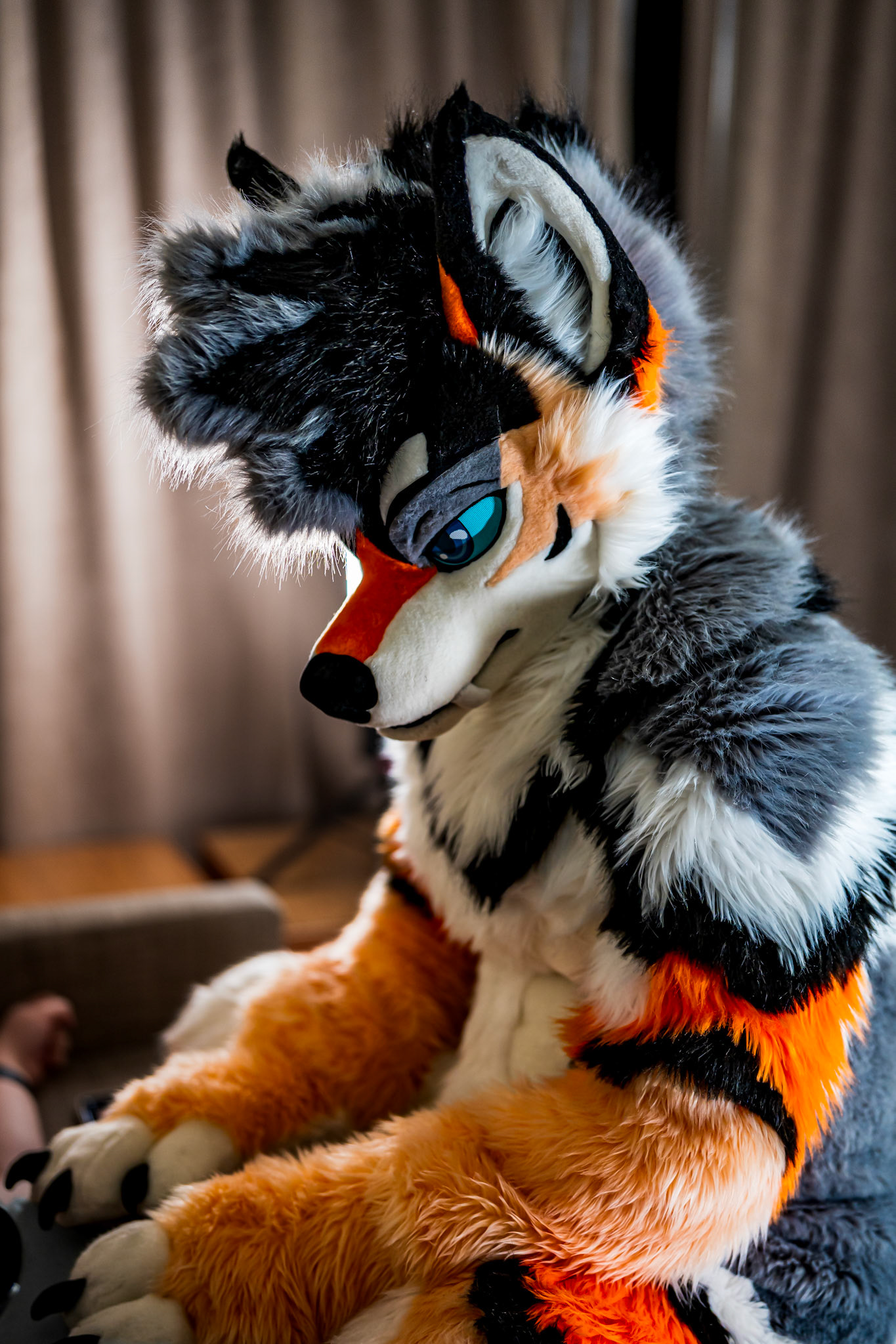 Anthrocon 2026