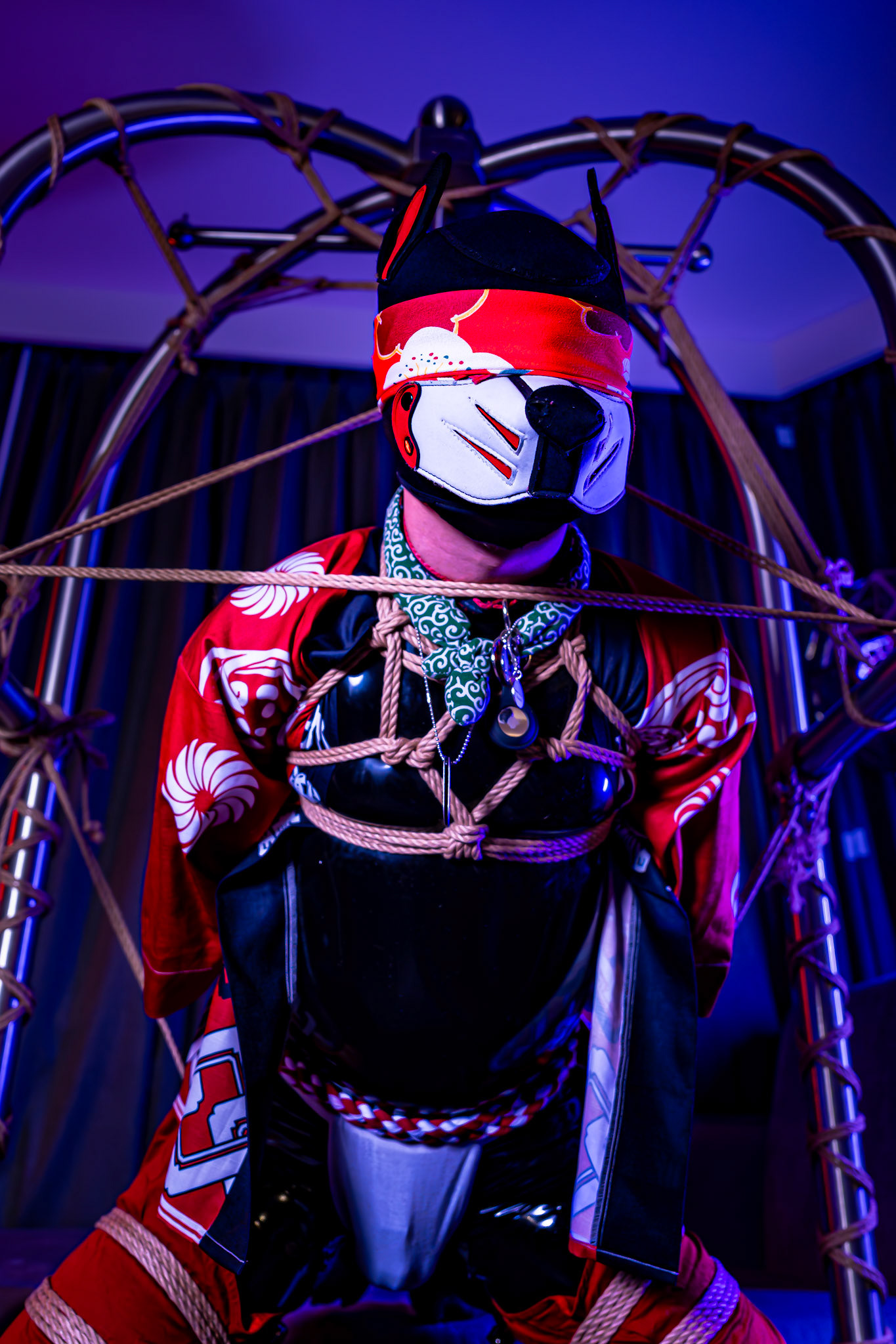 Furnal Equinox