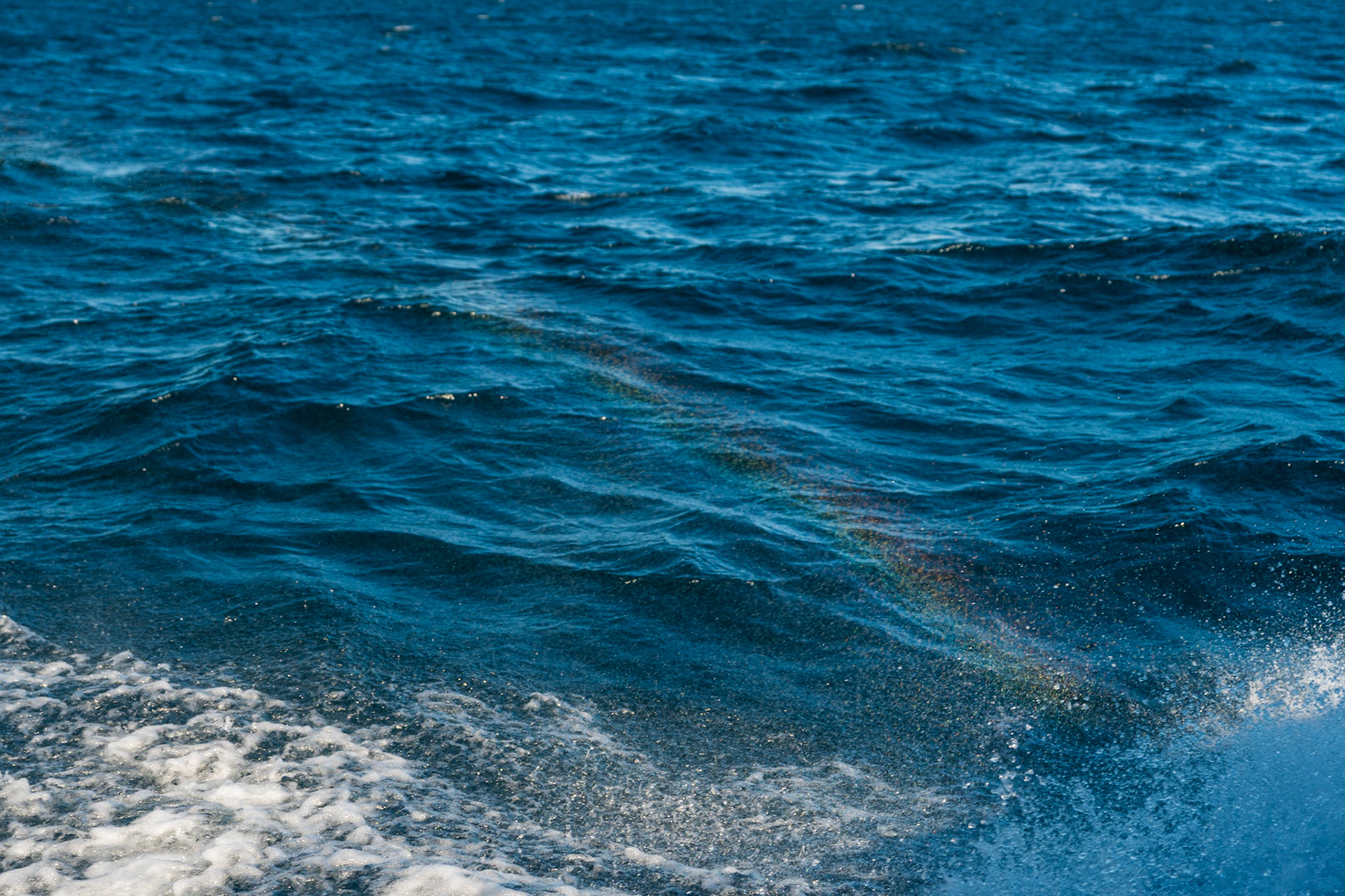 Bruce Peninsula