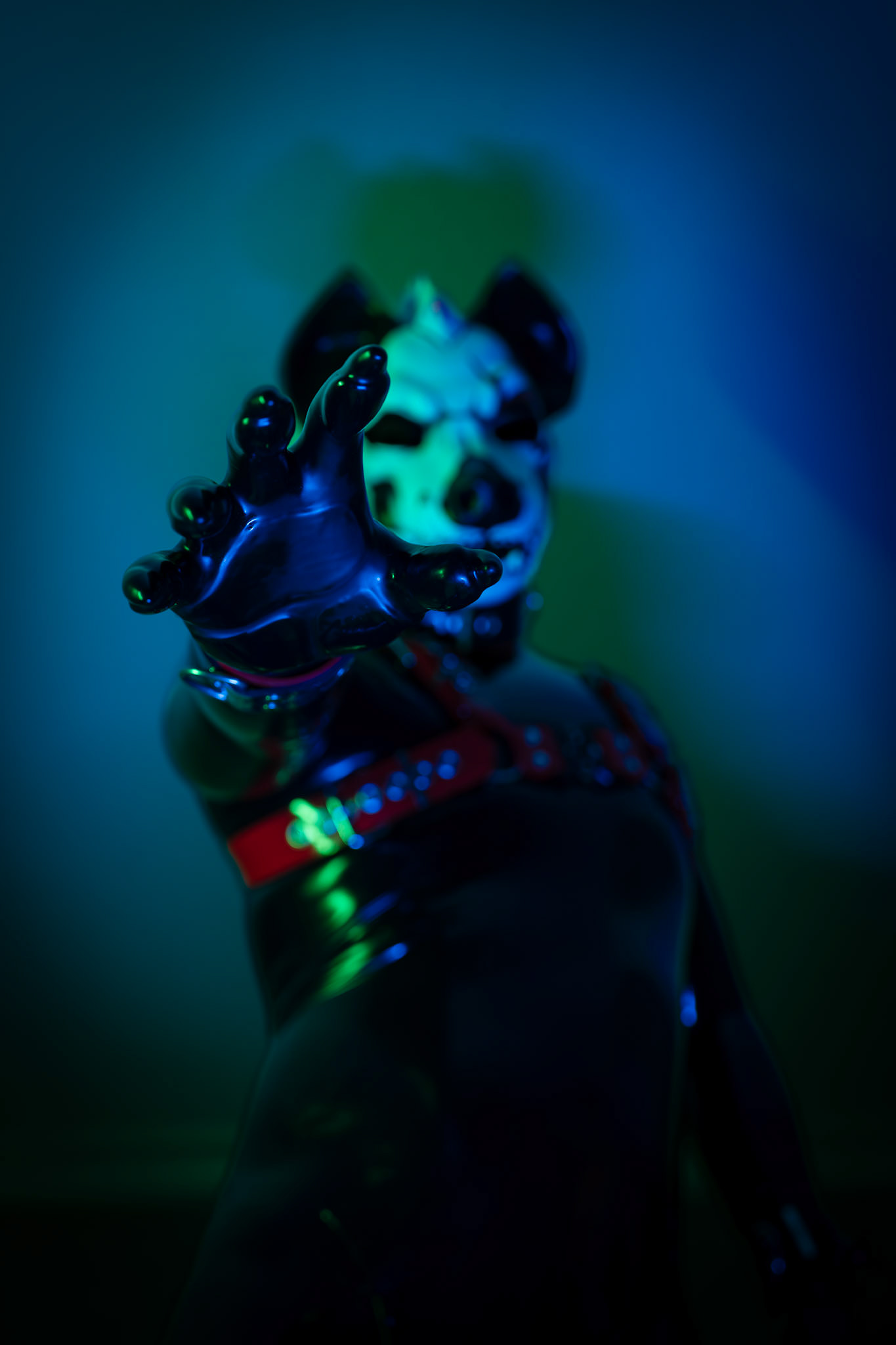 Furnal Equinox 2025