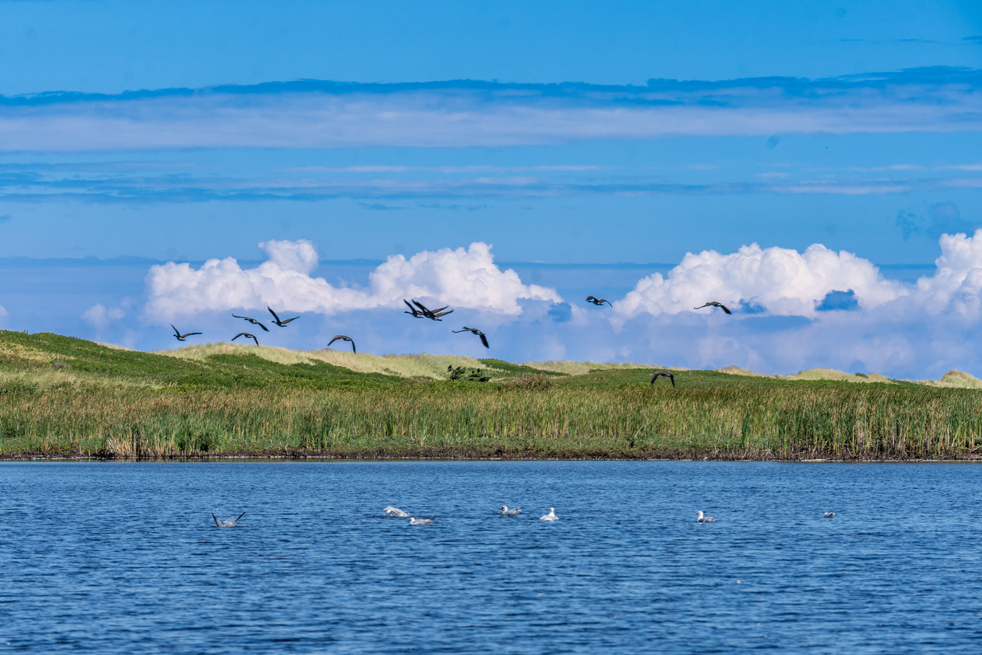 PEI Labour Day Trip