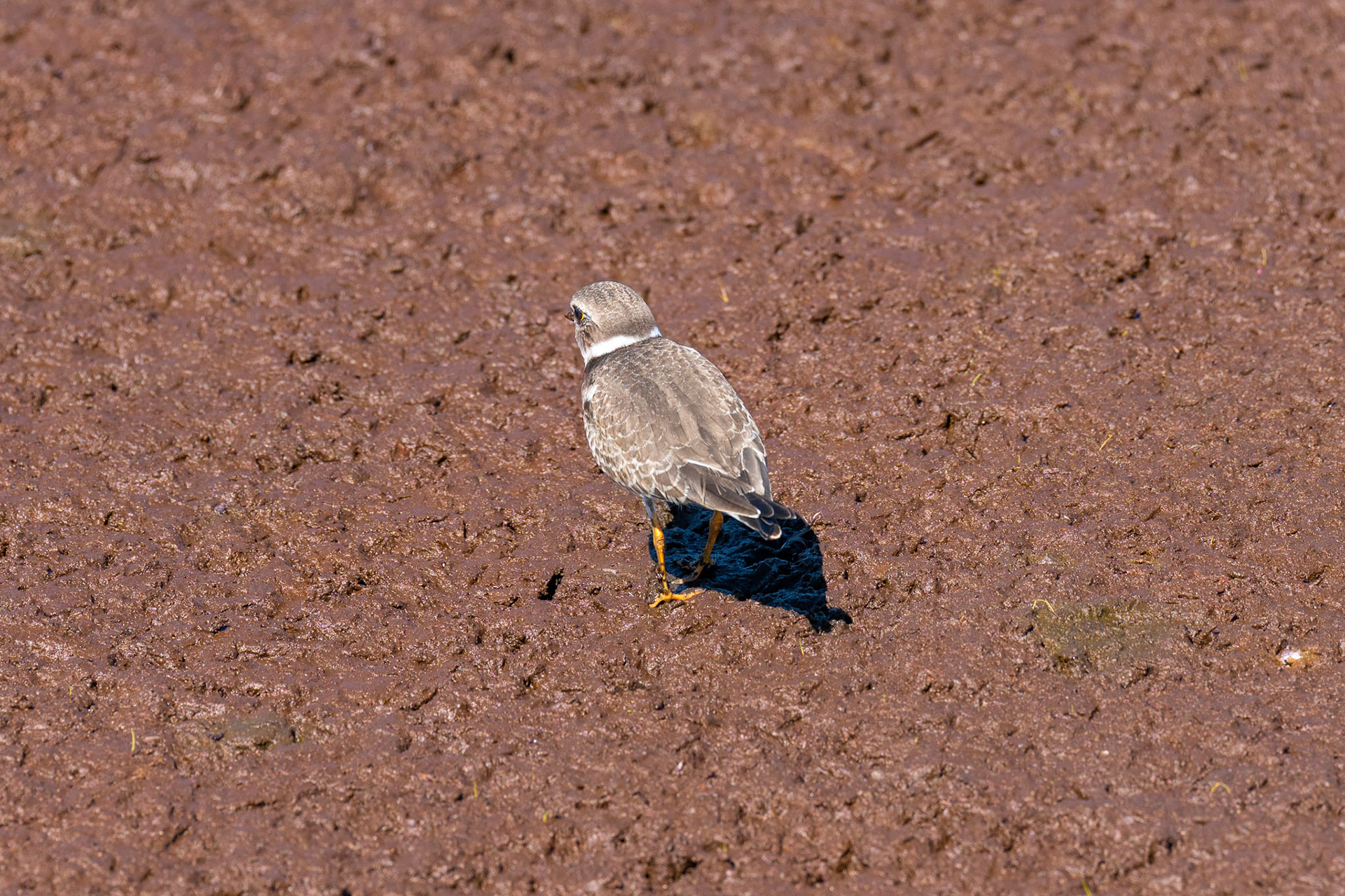 PEI Labour Day Trip