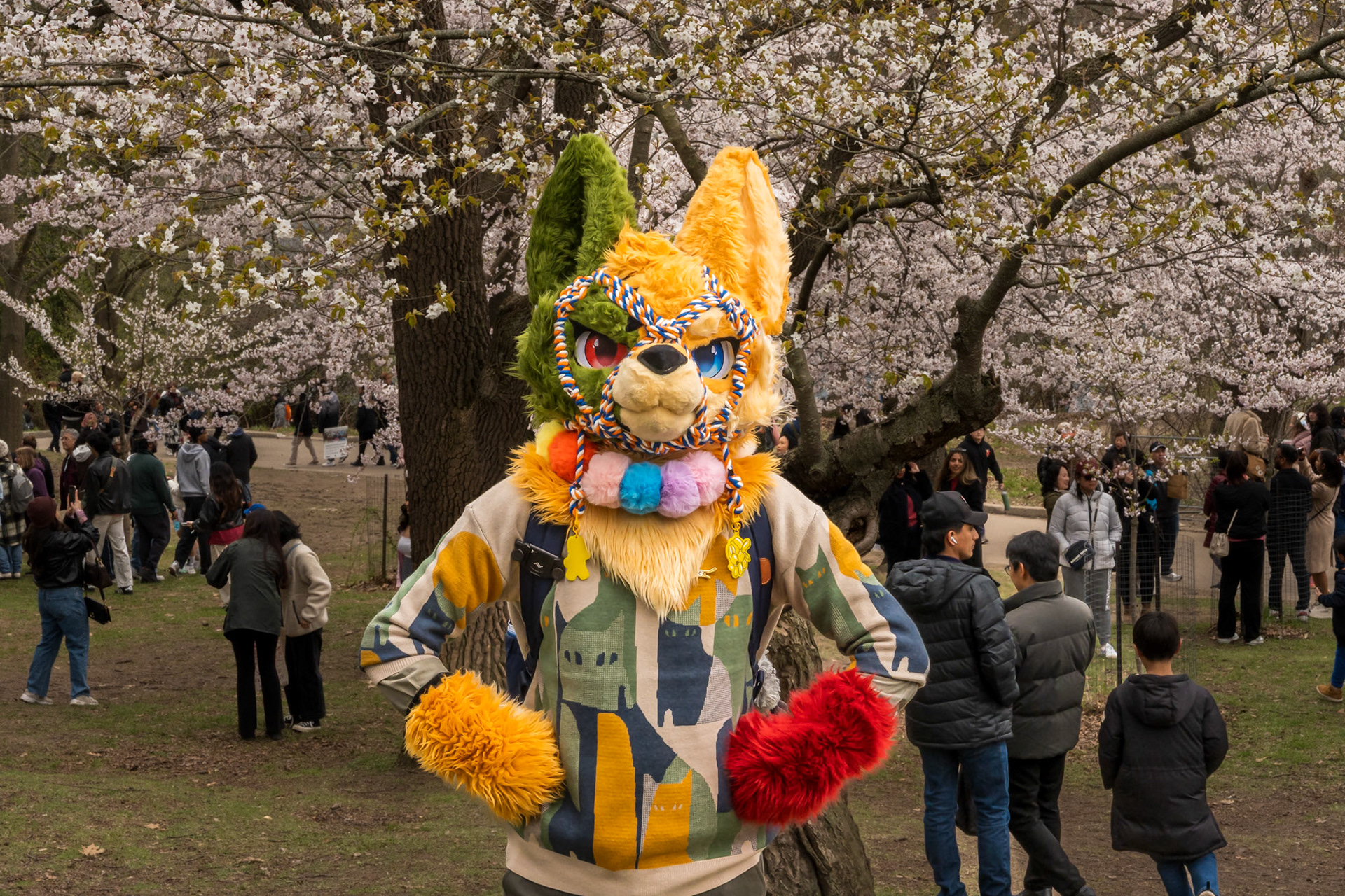 High Park 4.0