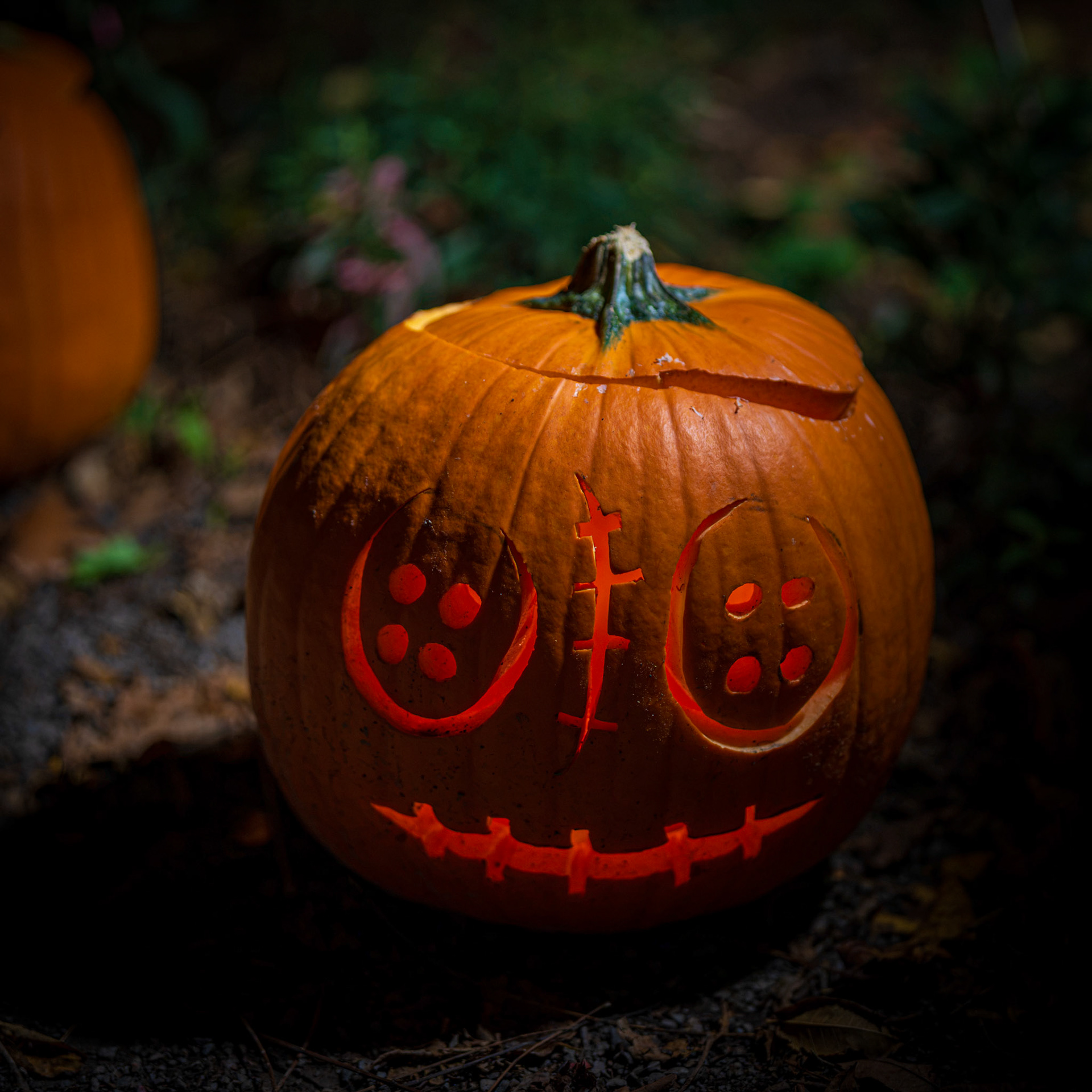 Pumpkin Trail
