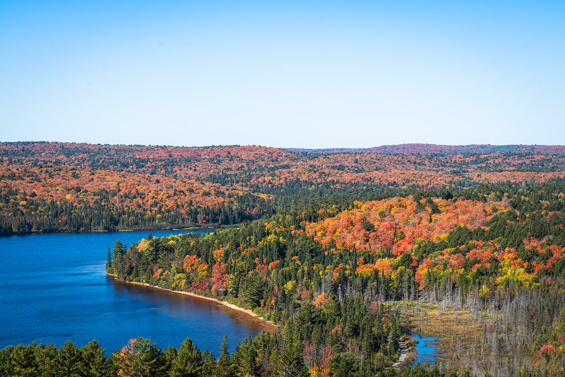 Algonquin Fall Colour