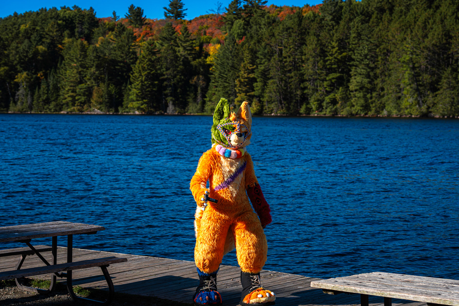 Algonquin Fall Colour