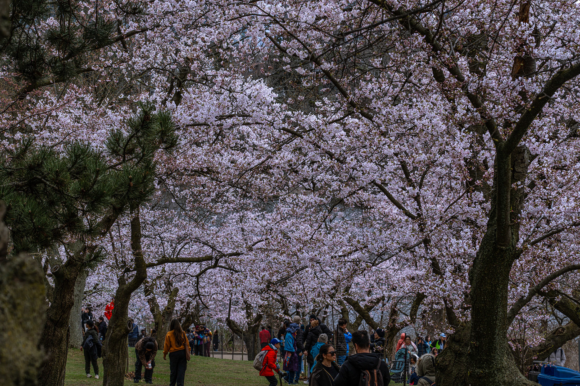 High Park