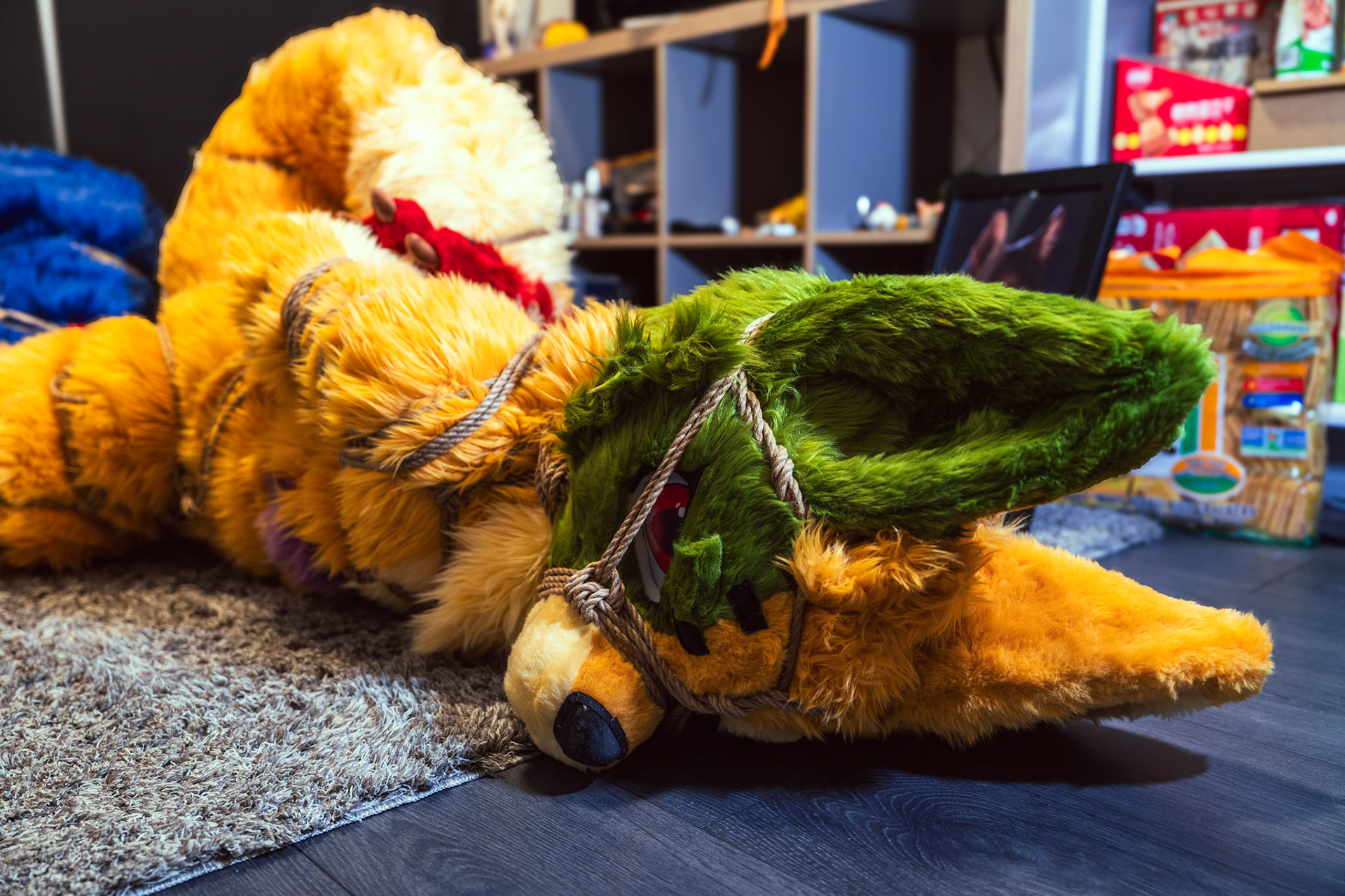Shibari Inu