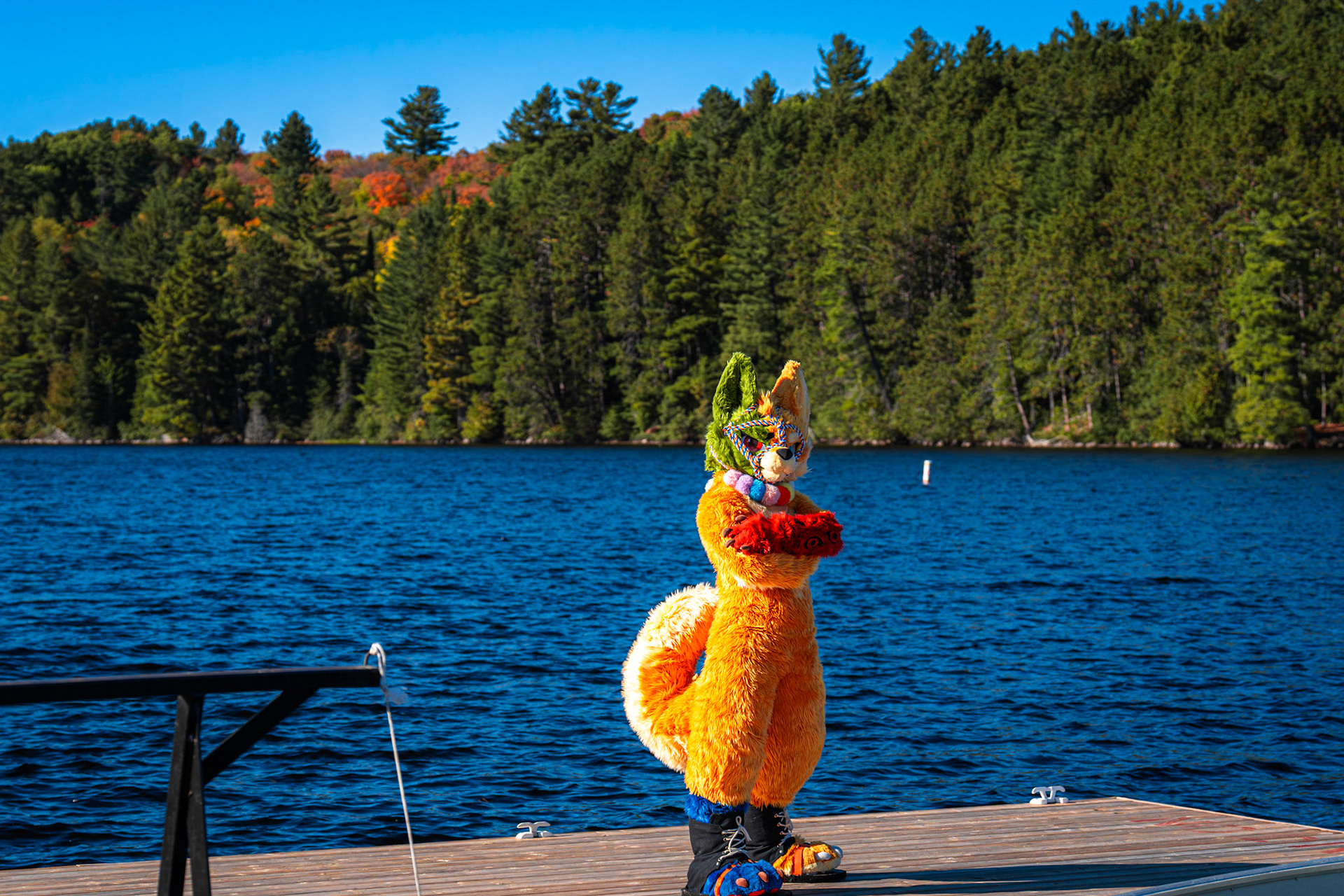 Algonquin Fall Colour