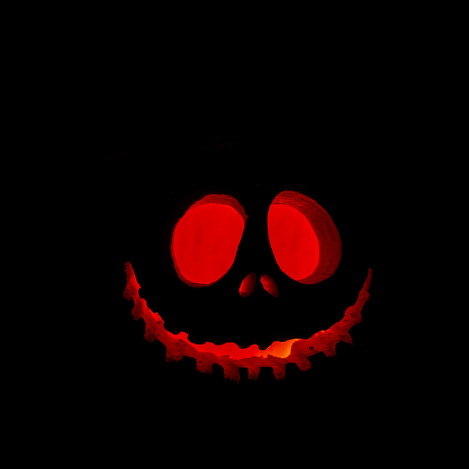 Pumpkin Trail
